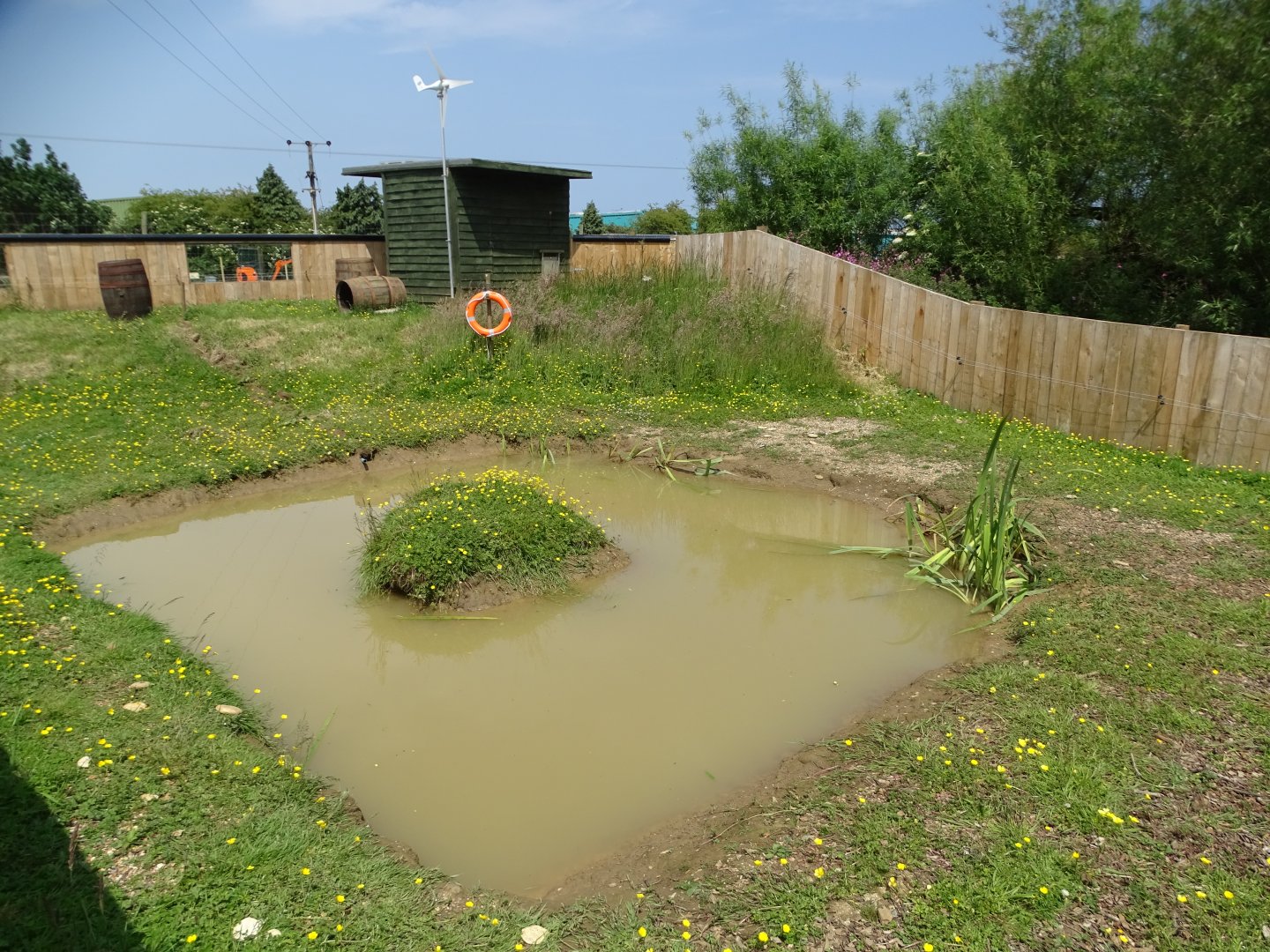 Small-clawed Otter exhibit, 11th June 2025