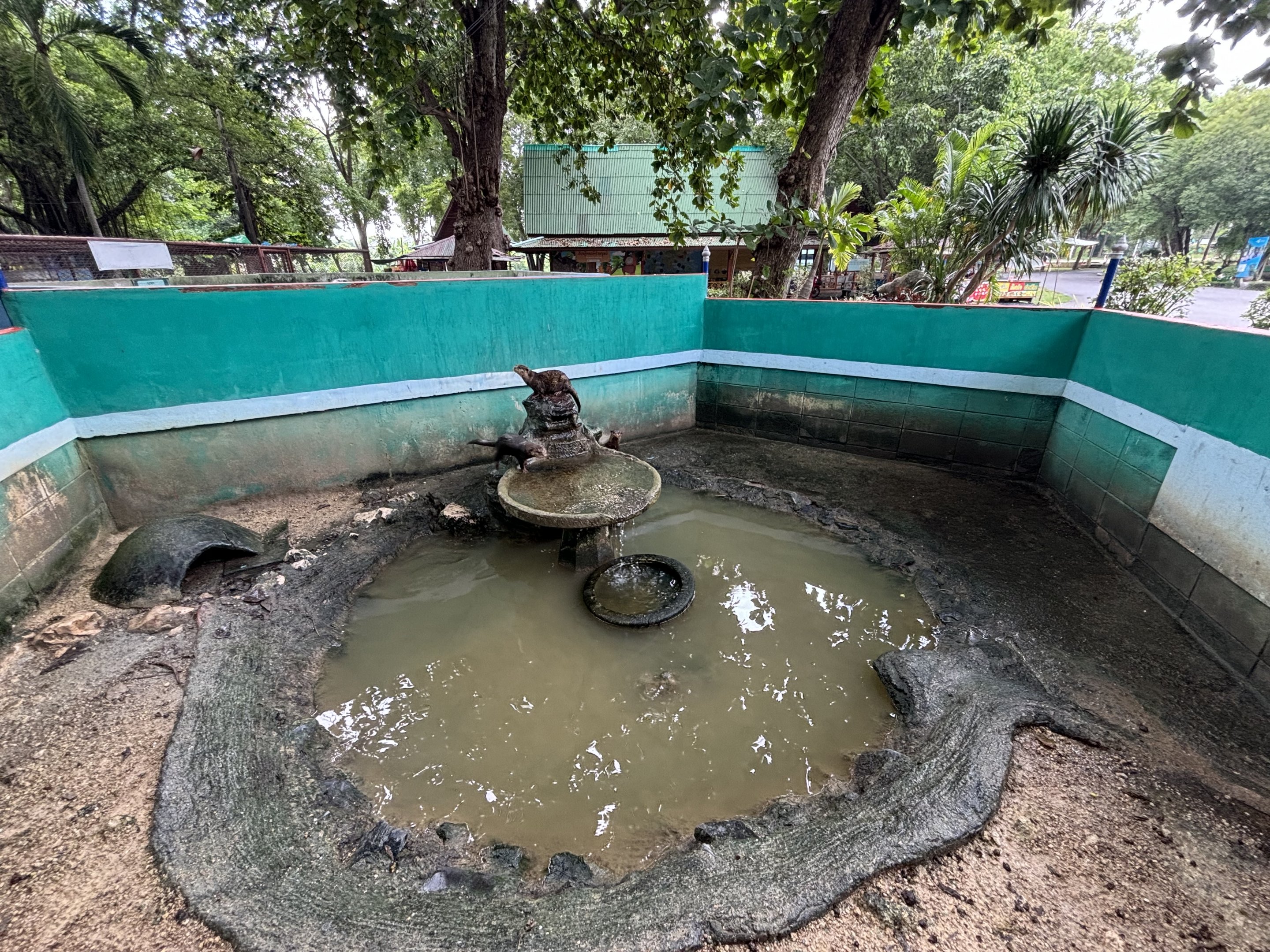Small-clawed Otter Exhibit #2 - Lopburi Zoo
