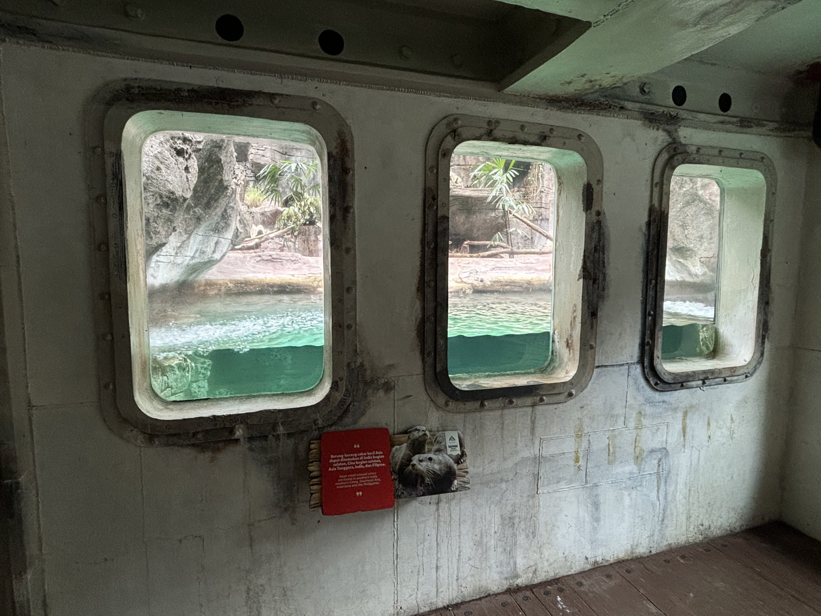 Small-clawed Otter Exhibit - Aquatic Land