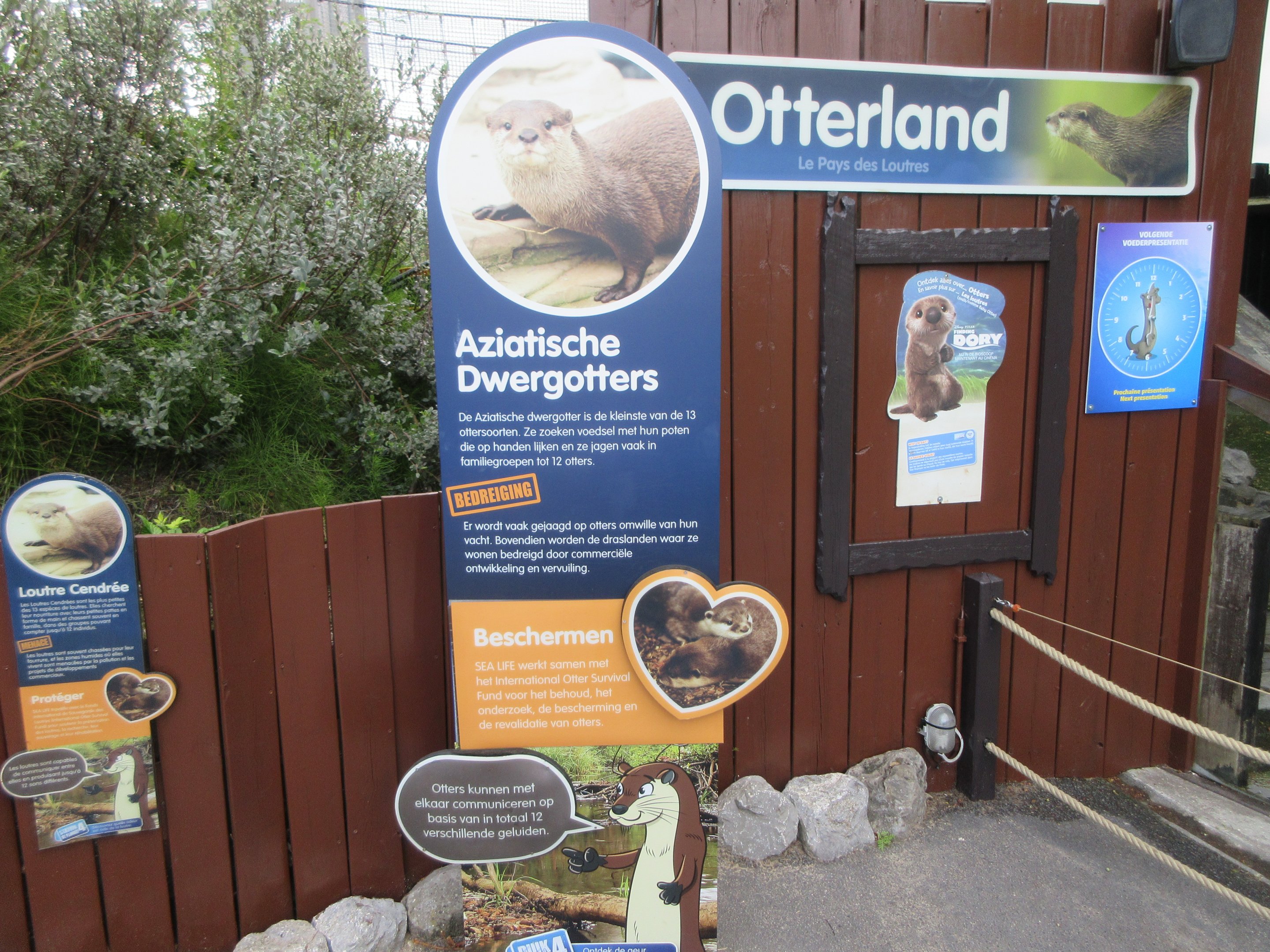 Small-clawed Otter Exhibit (enough signs?)