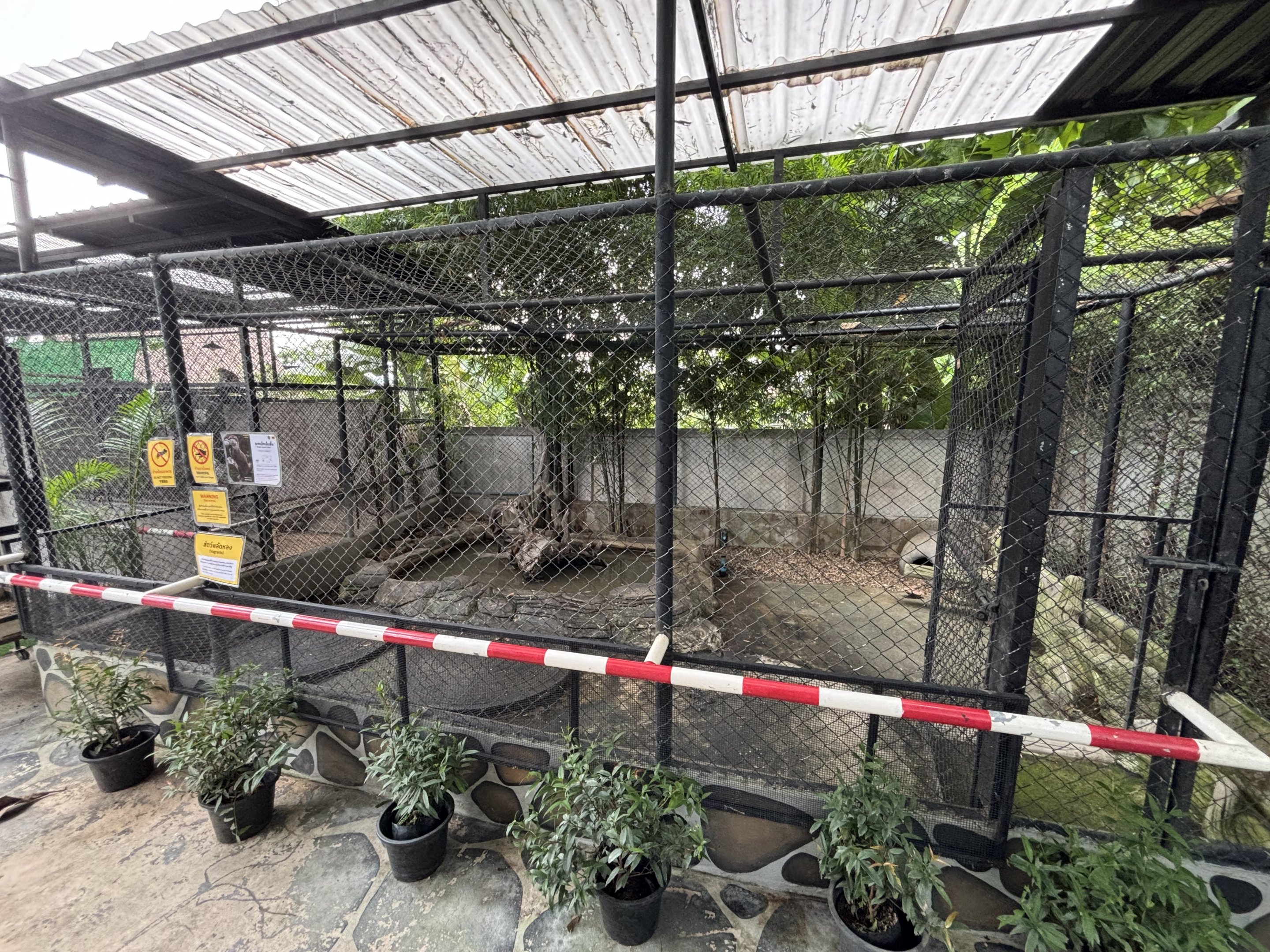 Small-clawed Otter Exhibit - Lanna Mini Zoo