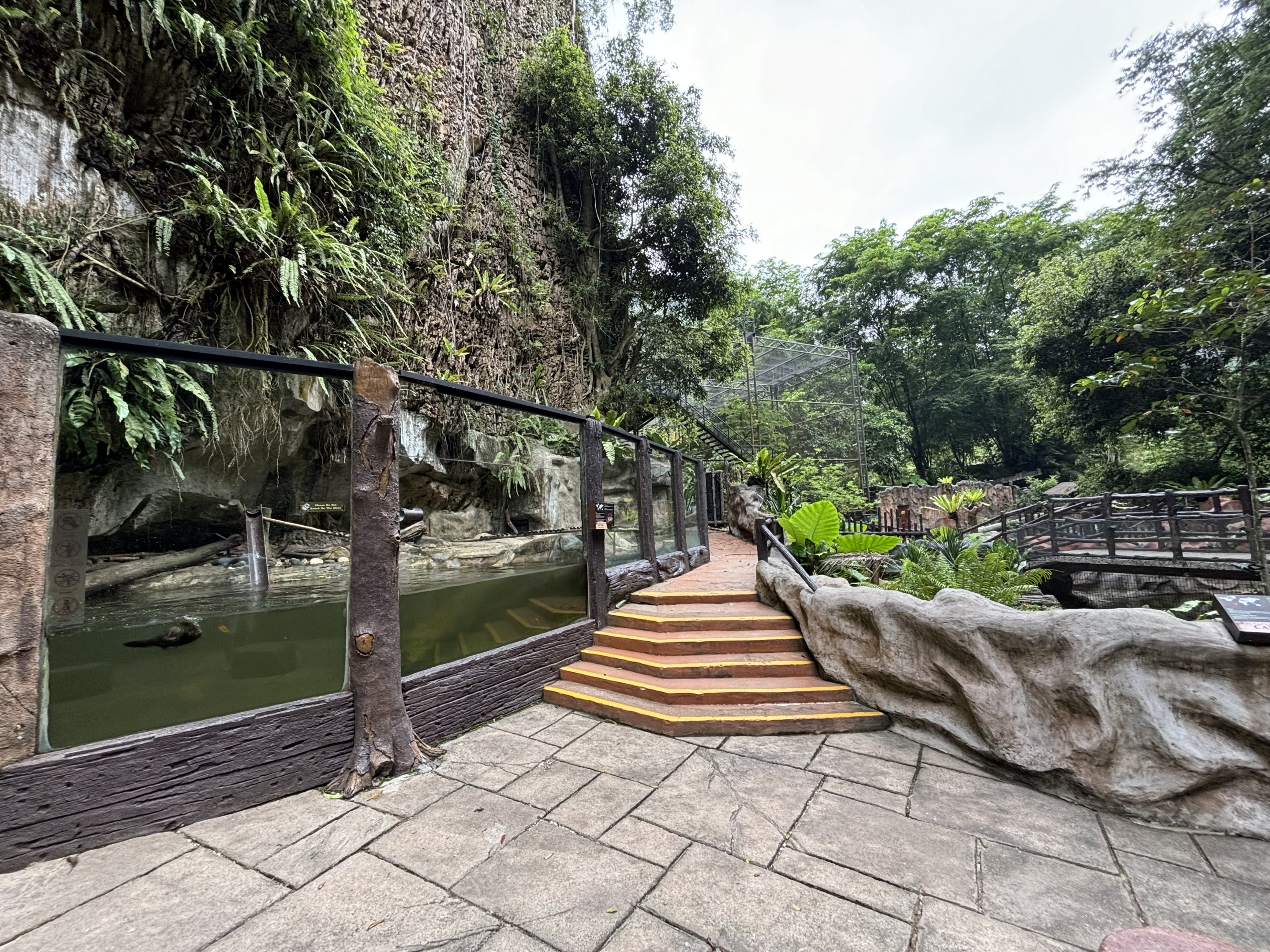 Small-clawed Otter Exhibit - Lost World of Tambun