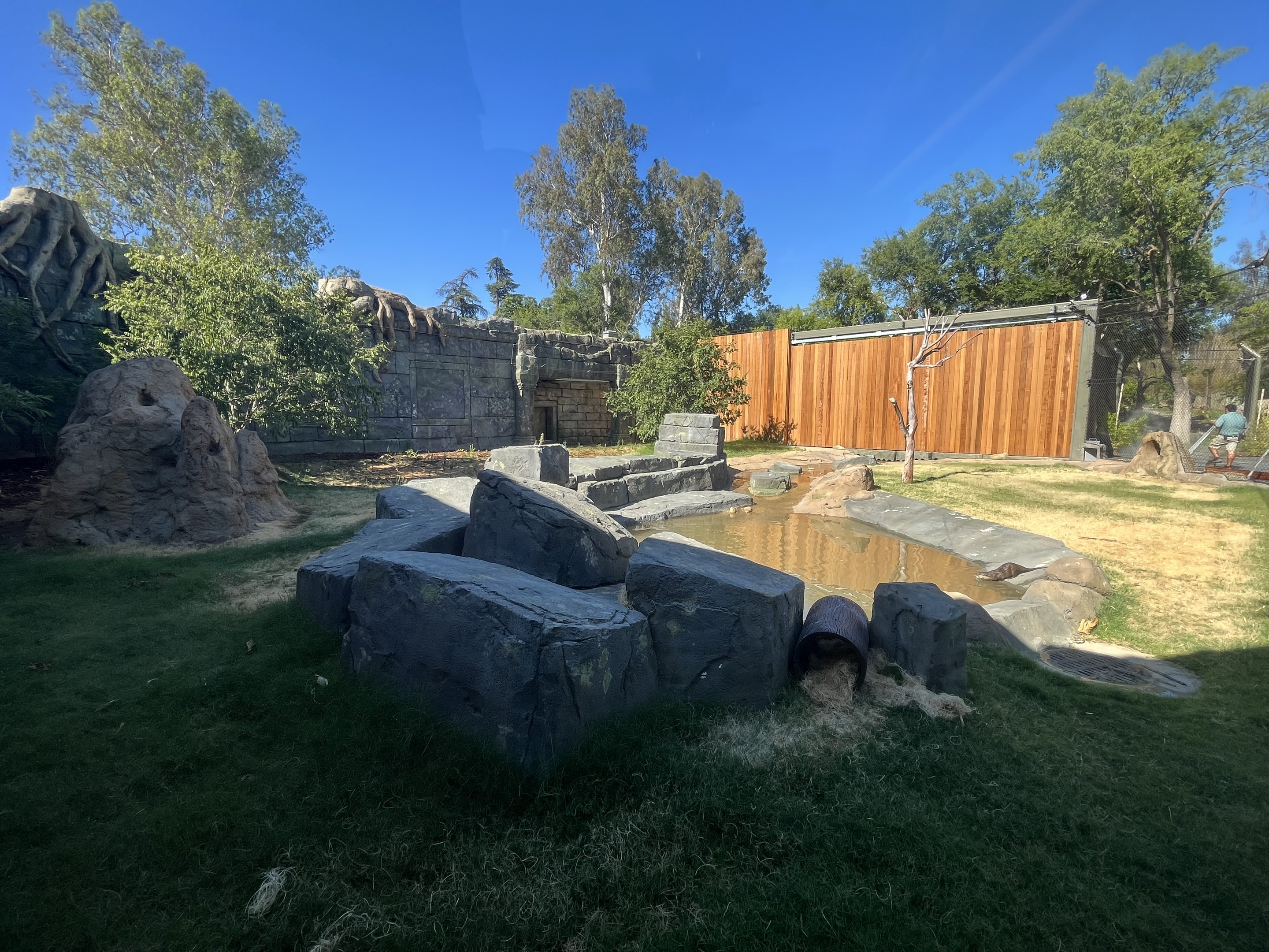 Small-clawed Otter Exhibit - New in 2023