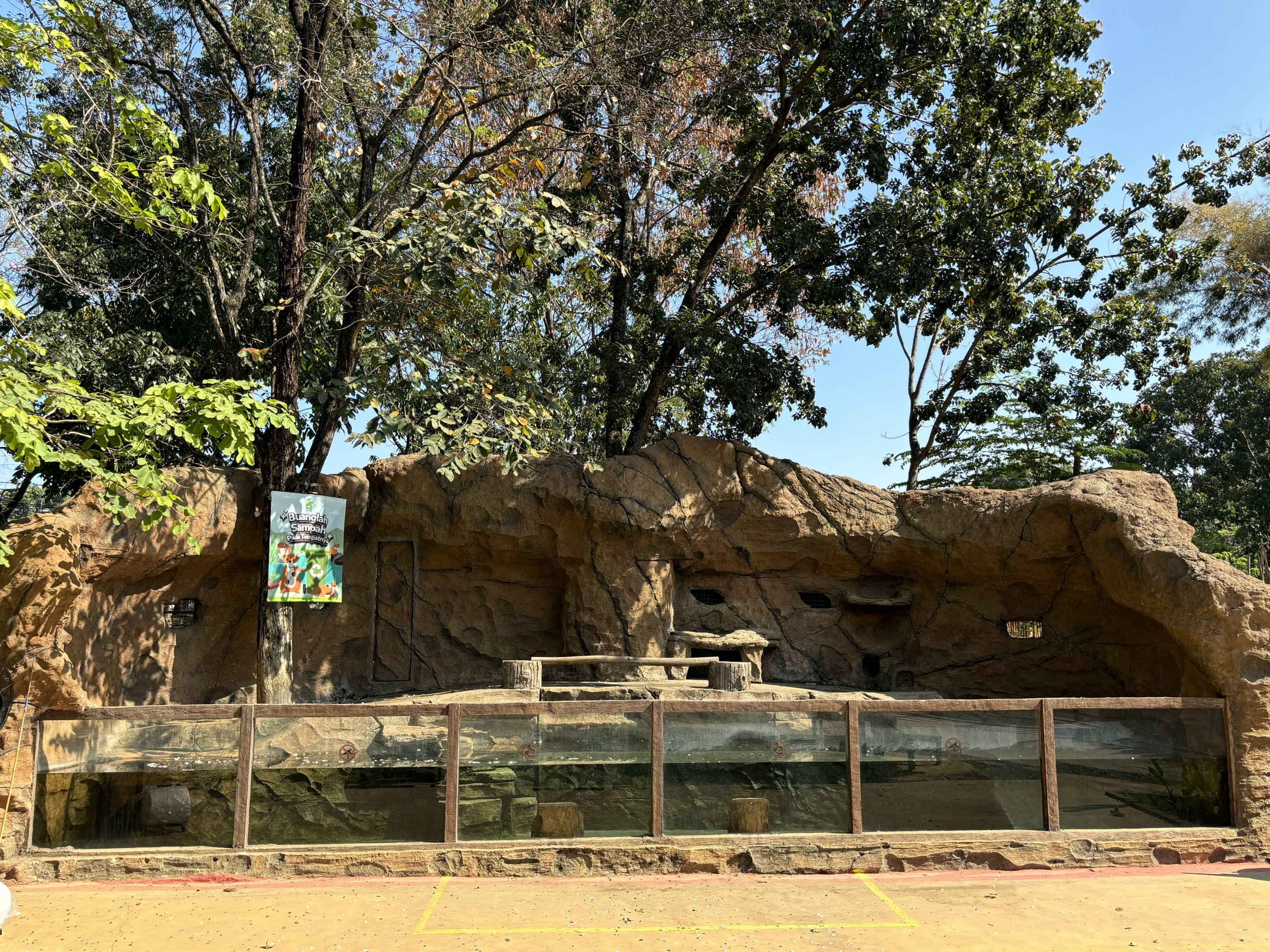 Small-clawed Otter Exhibit - Solo Safari