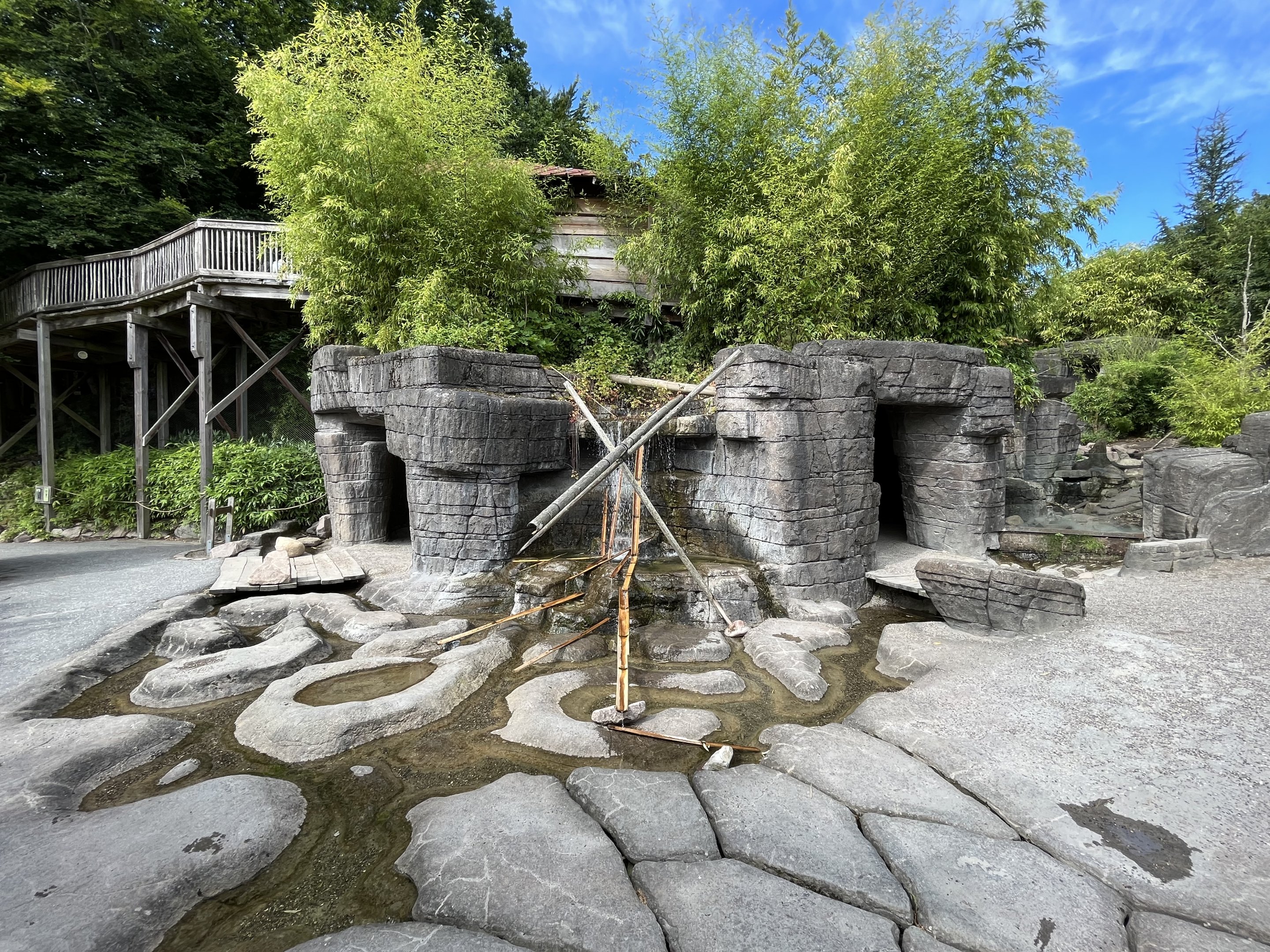 Small-clawed Otter Exhibit (visitor area)