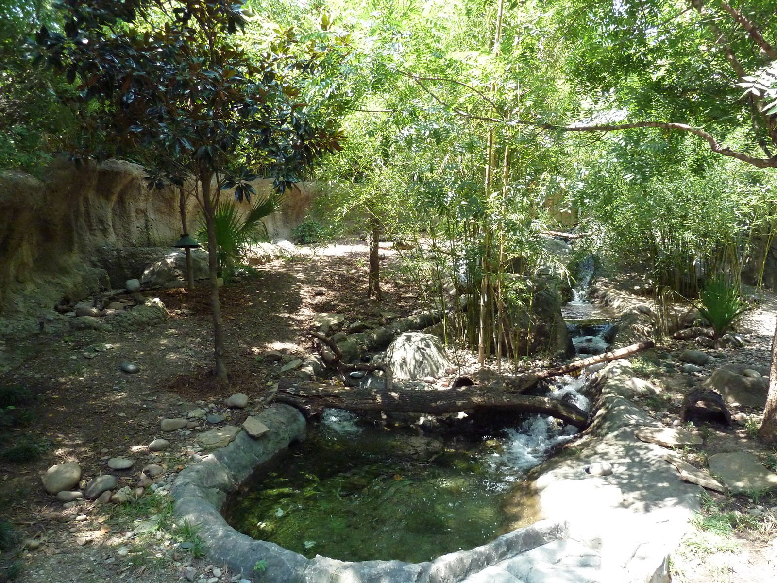 Small-Clawed Otter Exhibit