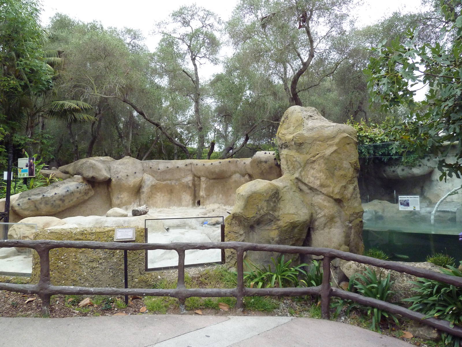 Small-Clawed Otter Exhibit