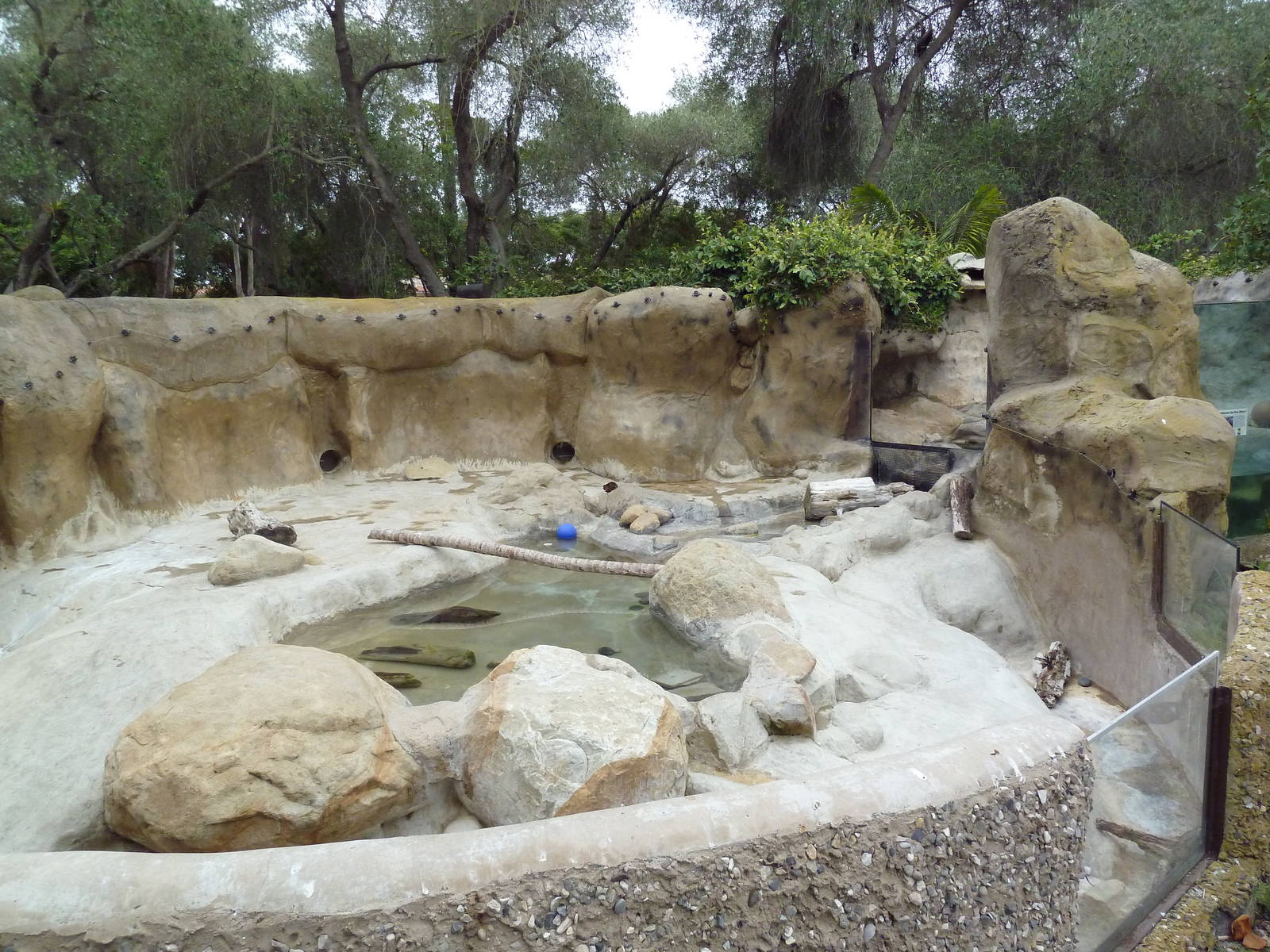 Small-Clawed Otter Exhibit