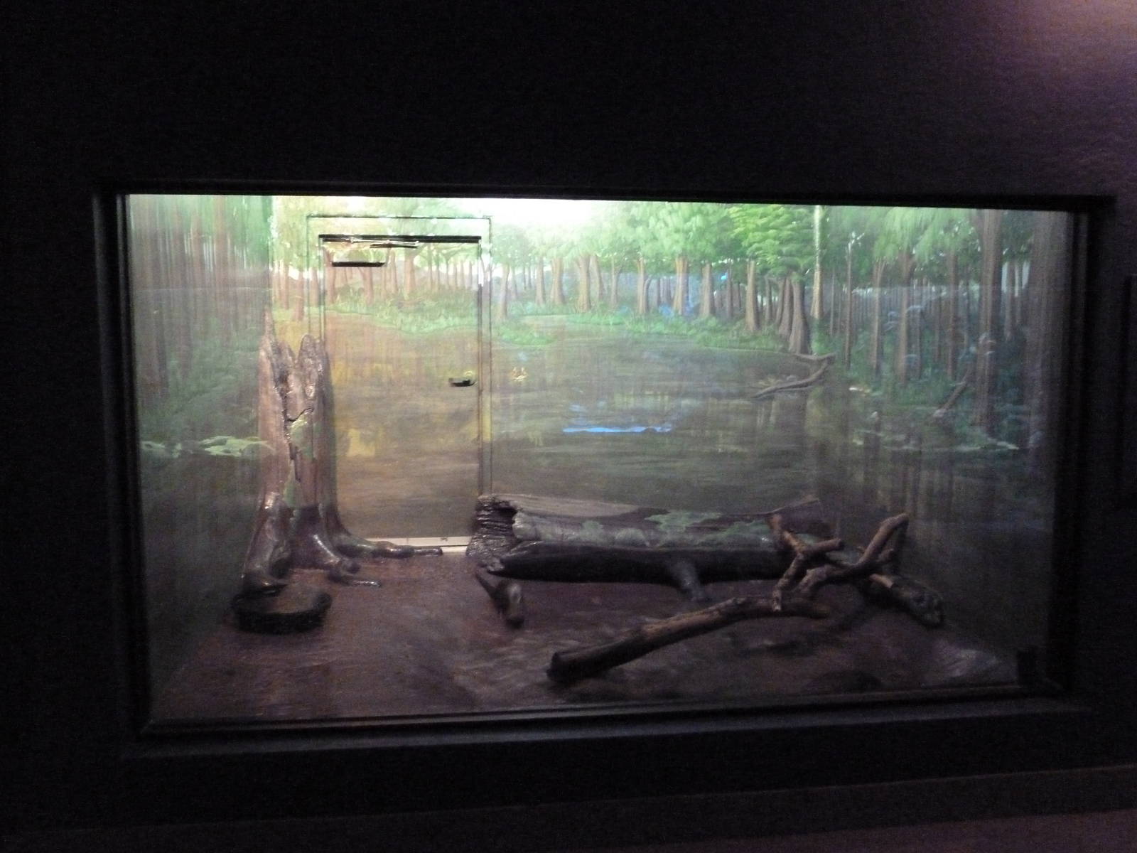 Small-Clawed Otter Exhibit