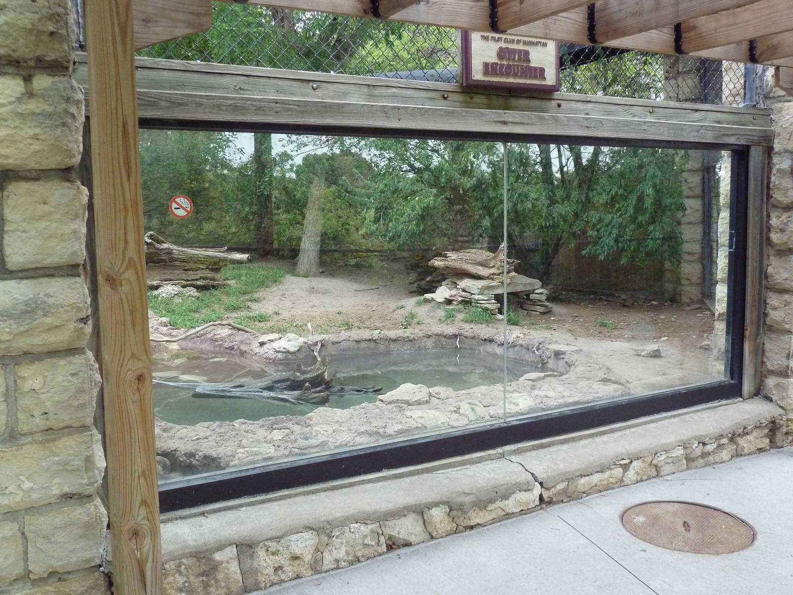Small-Clawed Otter Exhibit