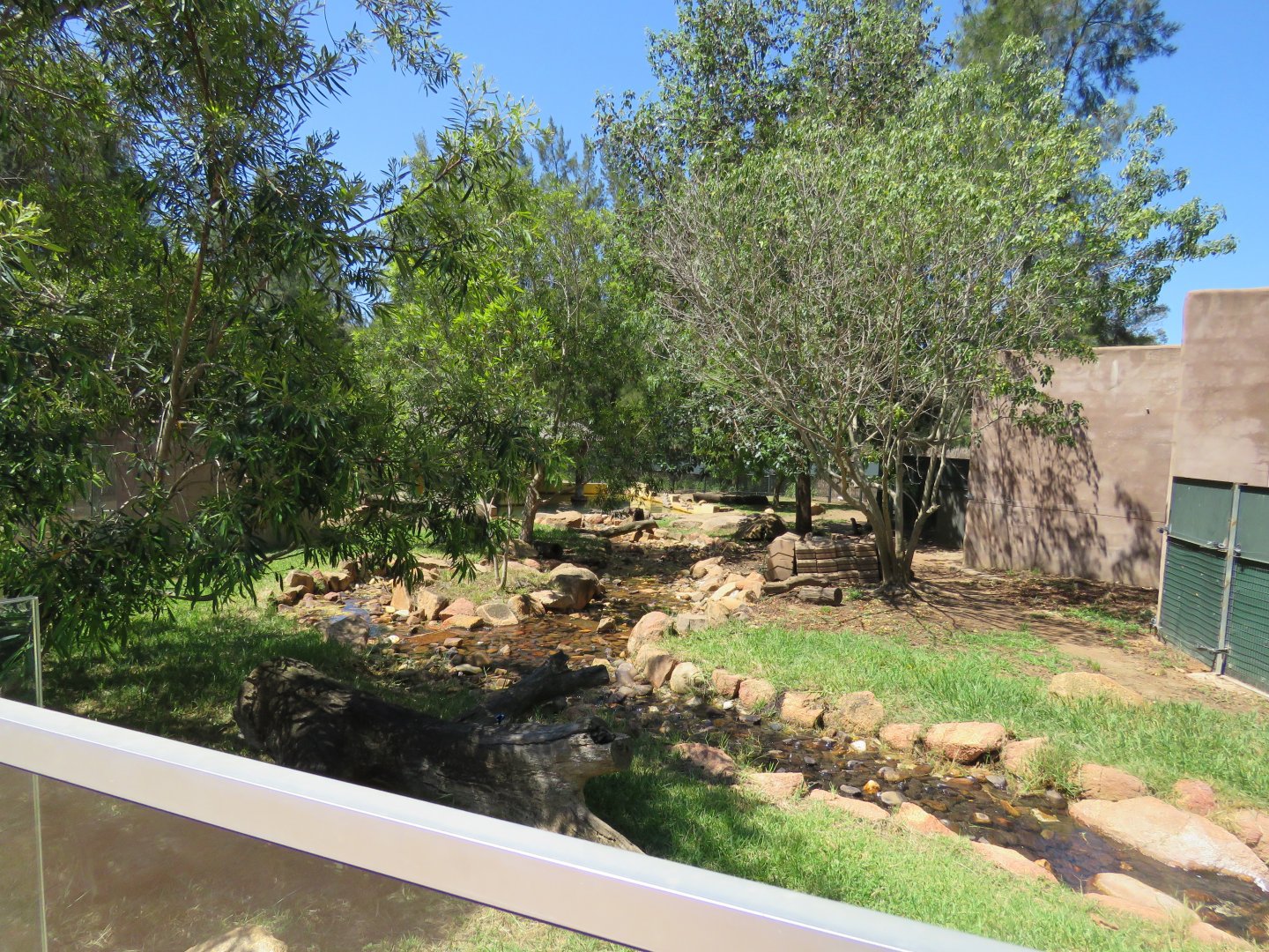 Small Clawed Otter Exhibit