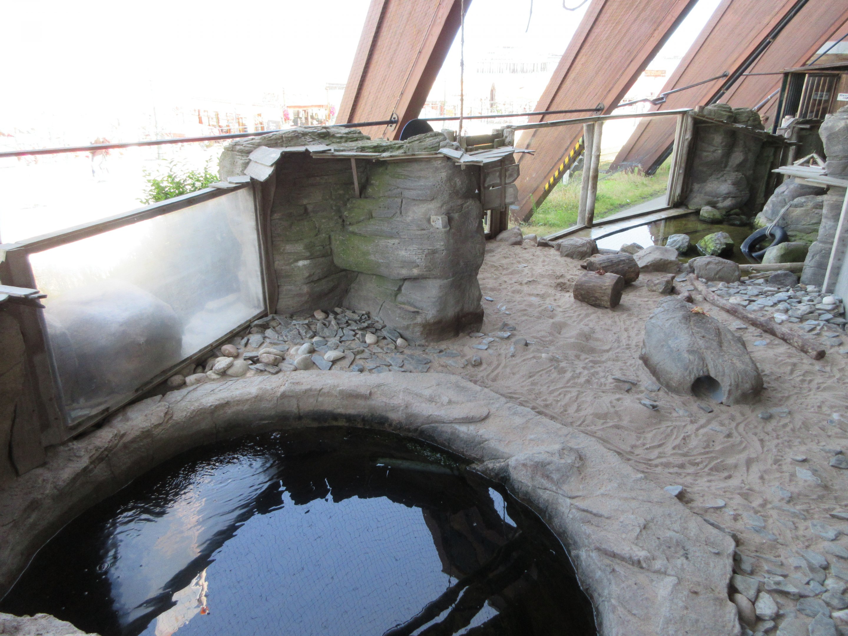 Small-clawed Otter Exhibit