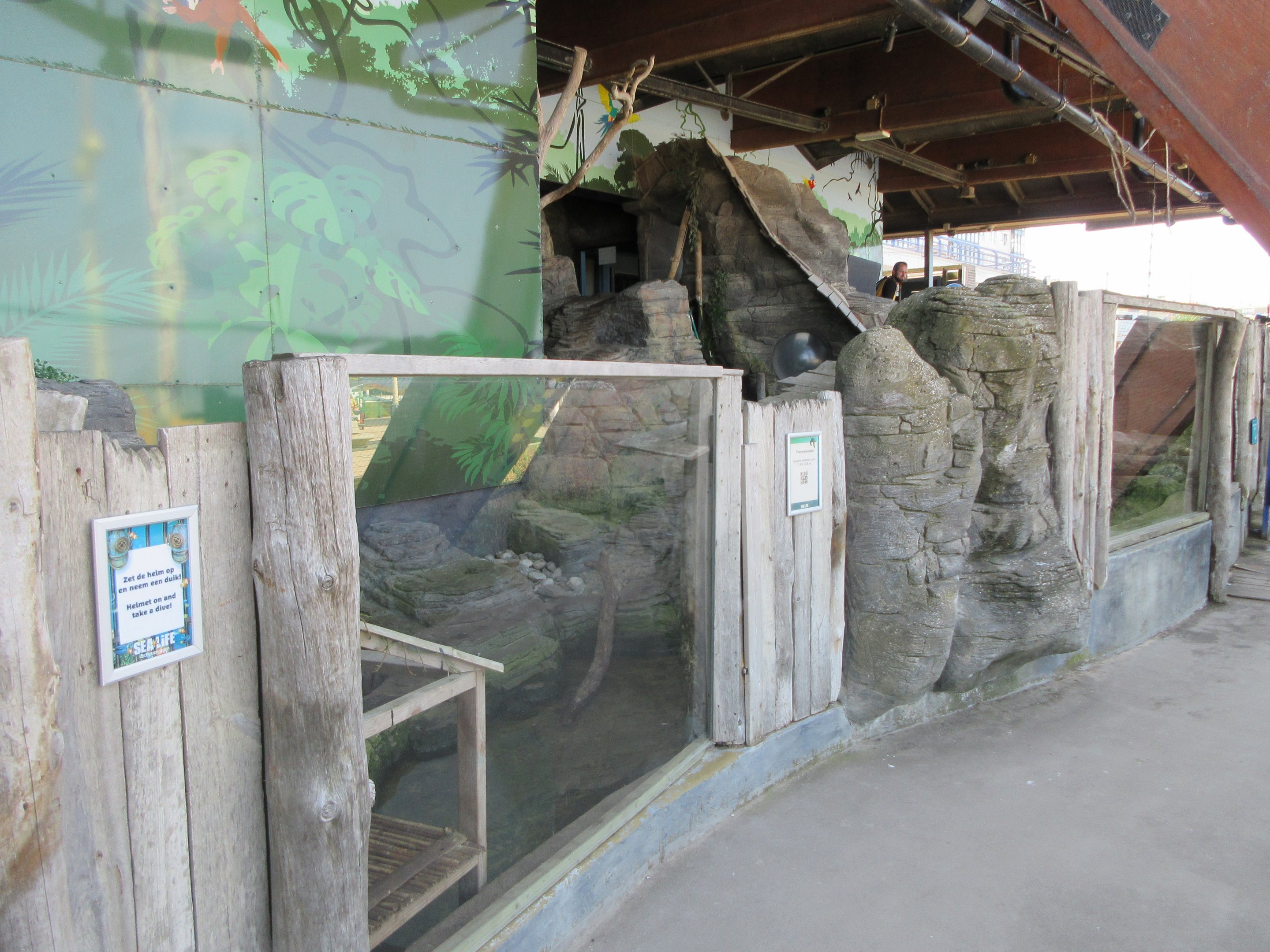 Small-clawed Otter Exhibit
