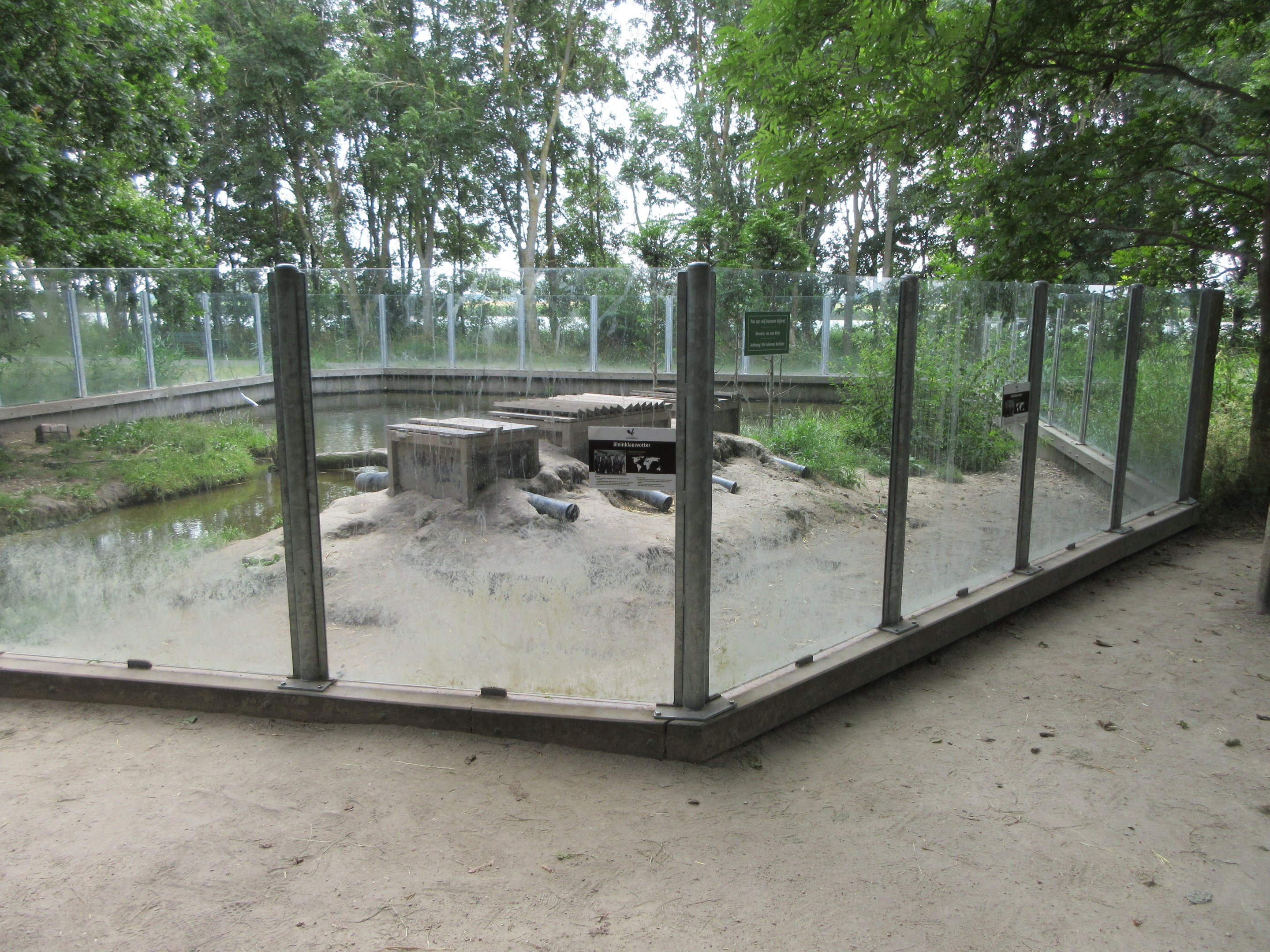 Small-clawed Otter Exhibit