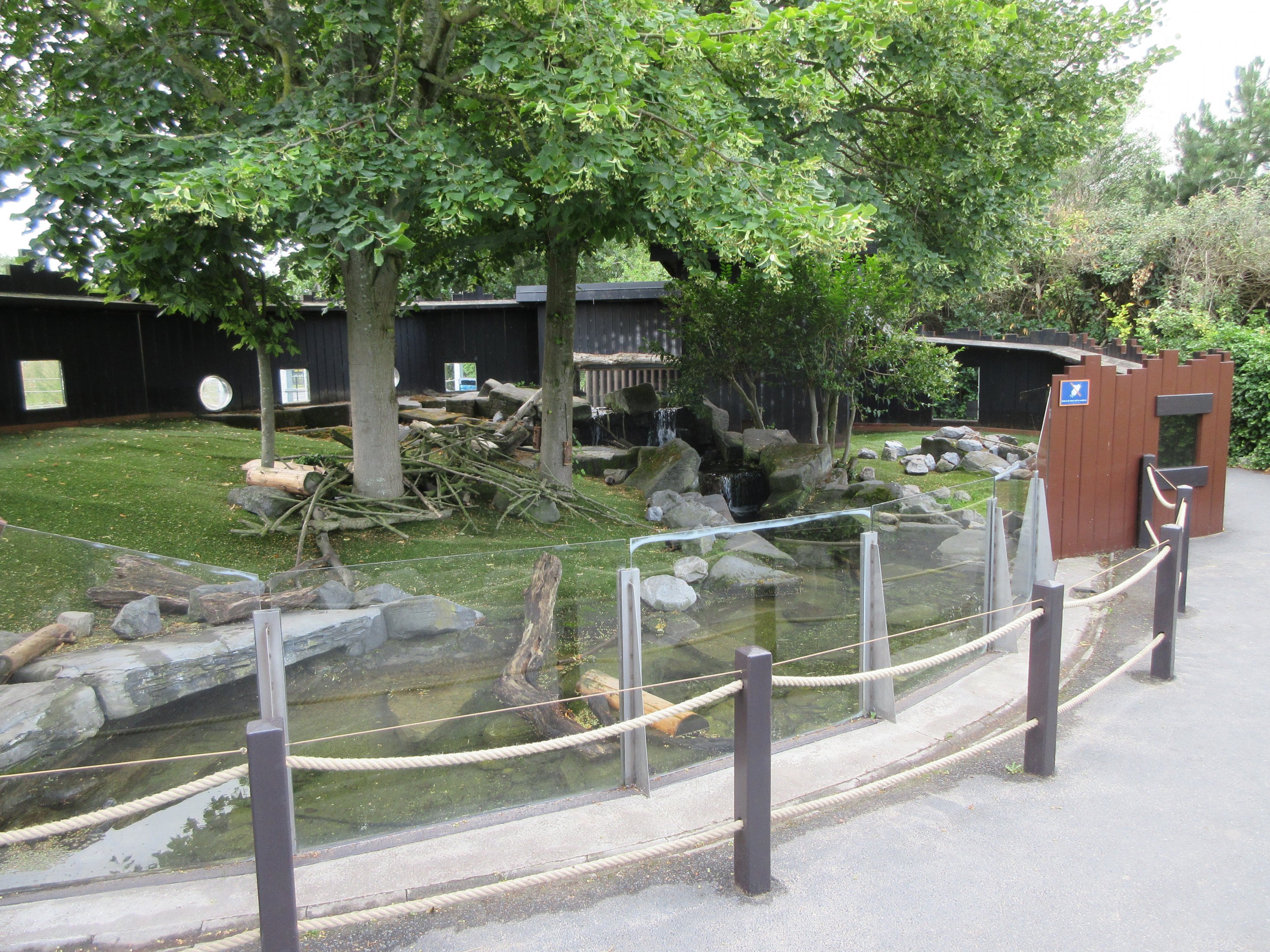Small-clawed Otter Exhibit