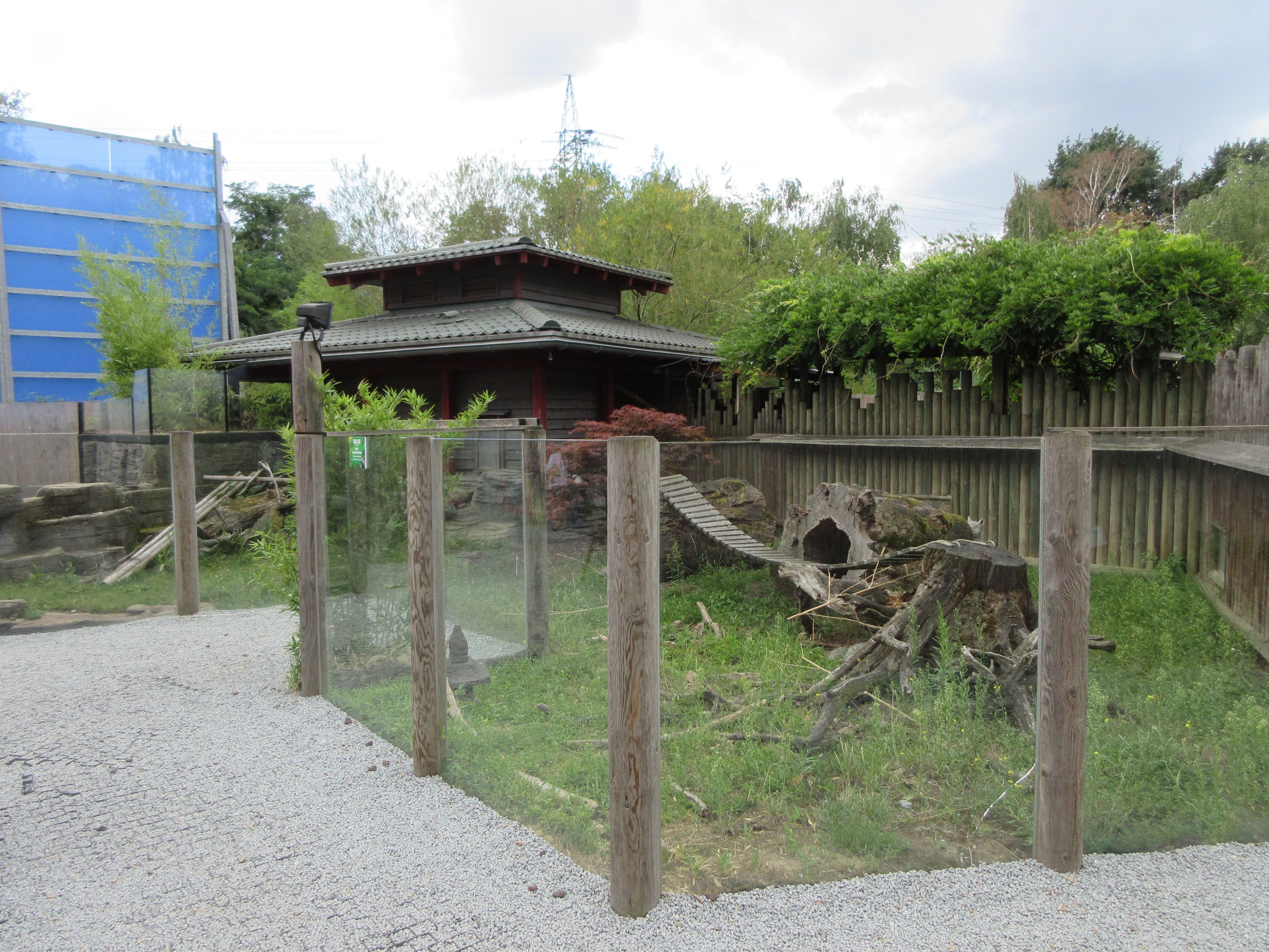 Small-clawed Otter Exhibit
