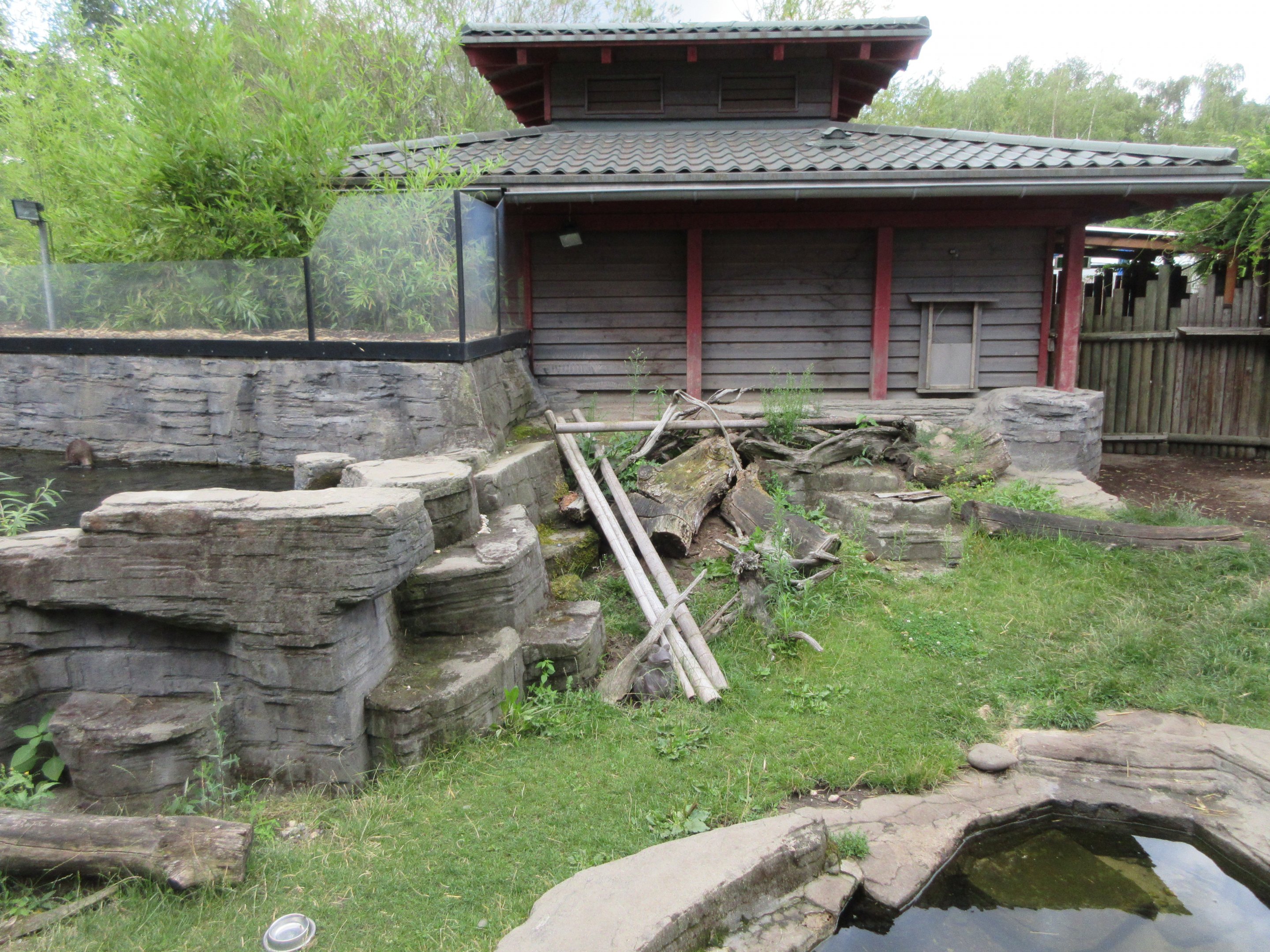 Small-clawed Otter Exhibit