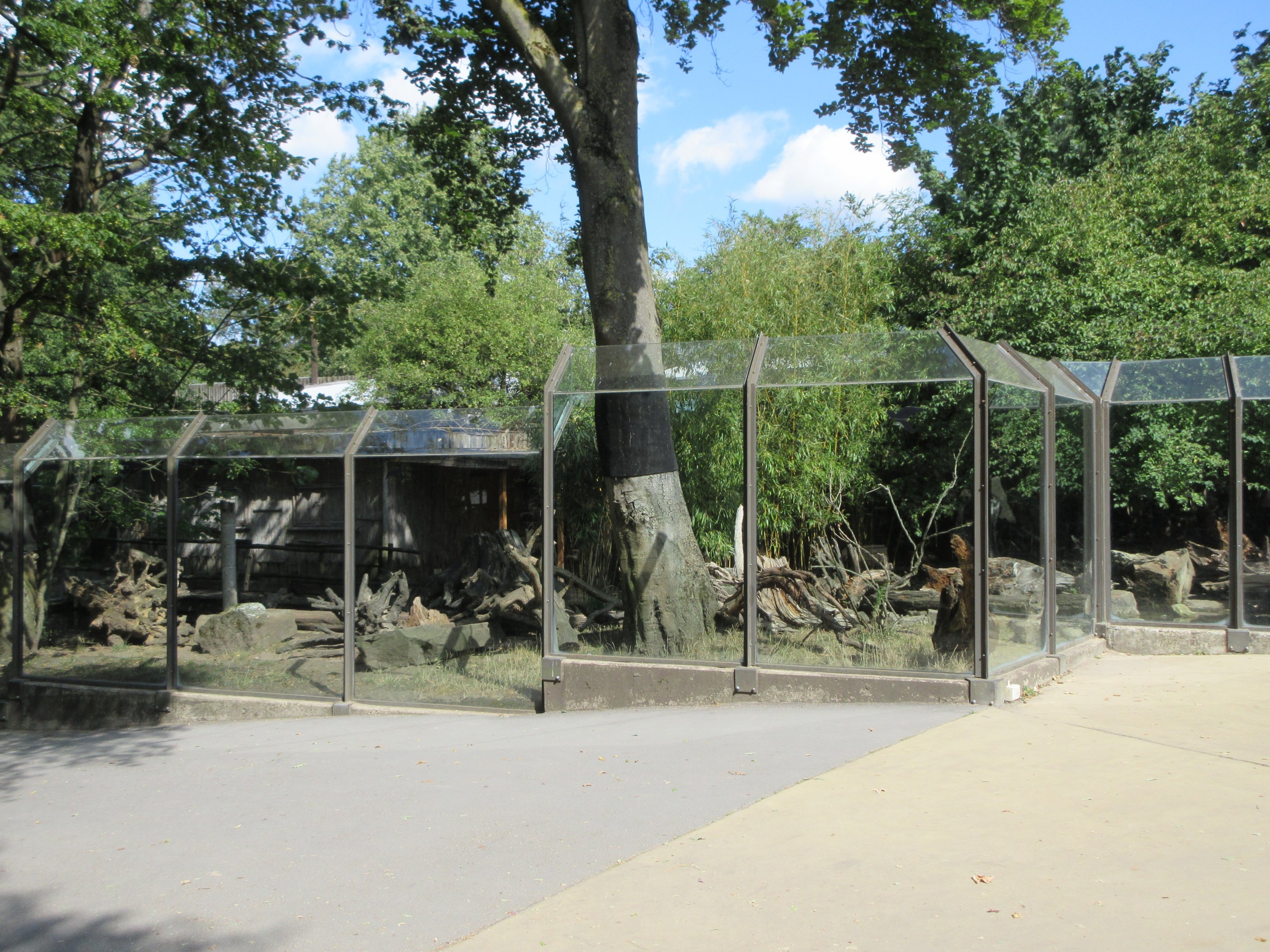 Small-clawed Otter Exhibit