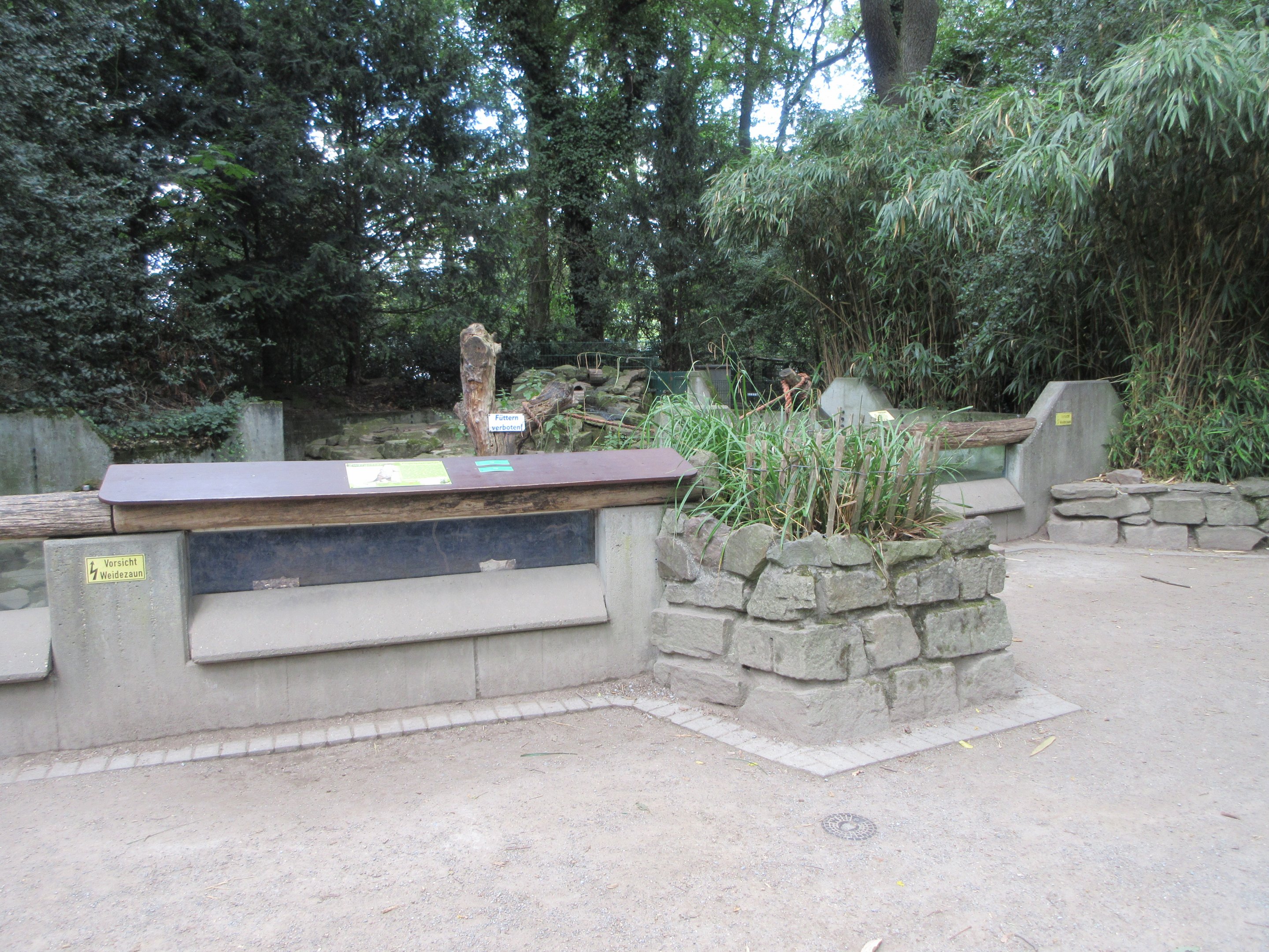 Small-clawed Otter Exhibit