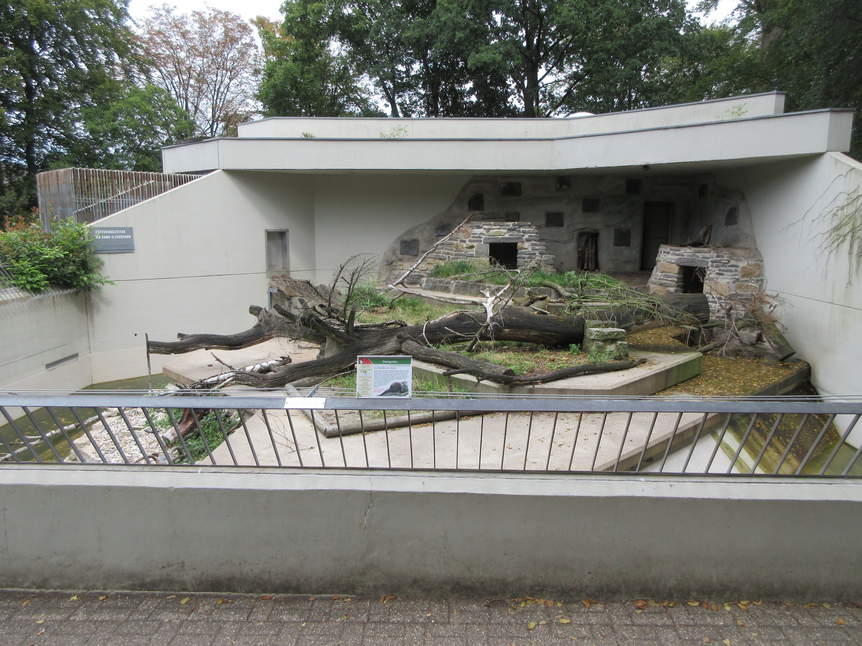 Small-clawed Otter Exhibit