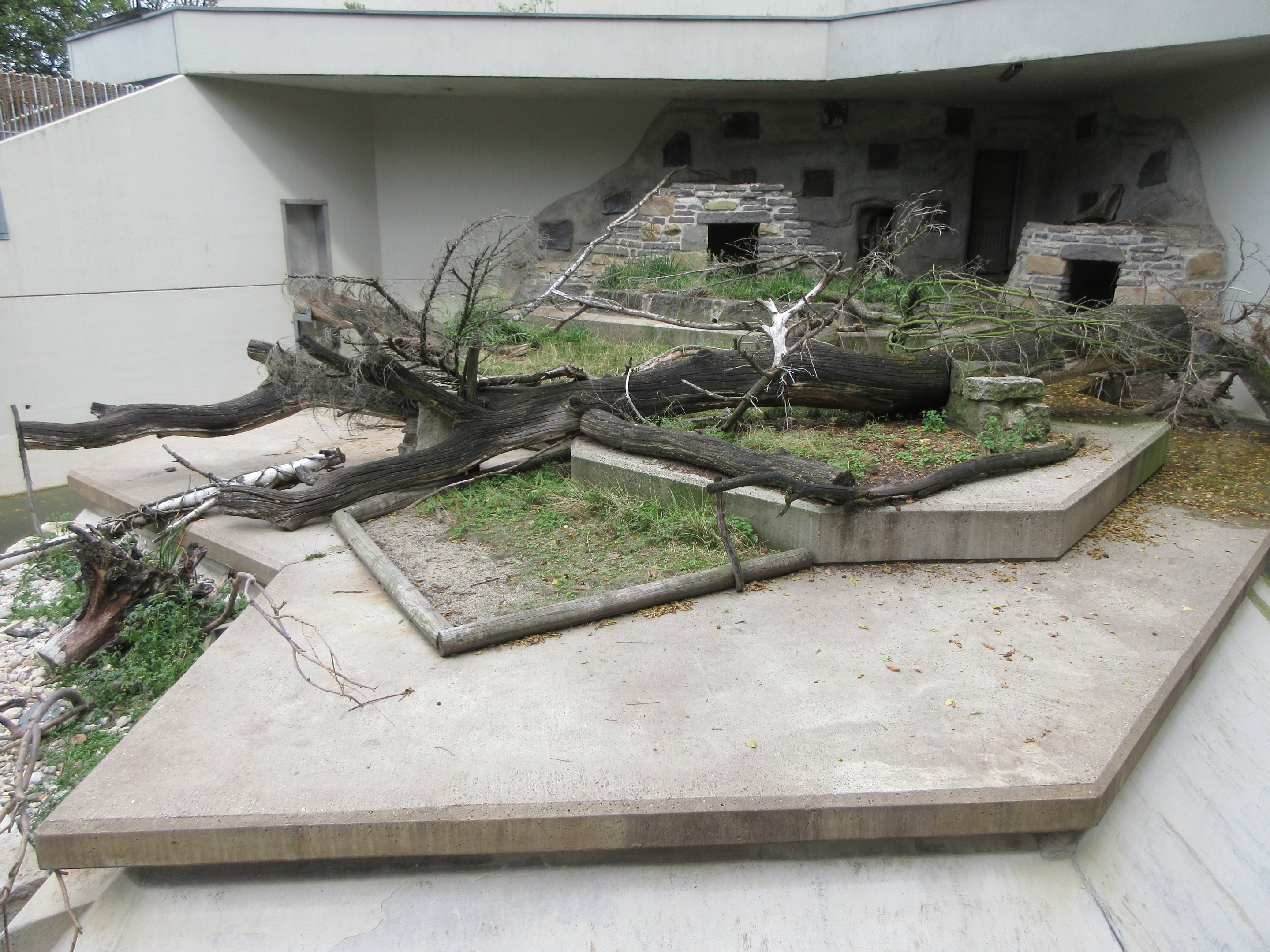 Small-clawed Otter Exhibit