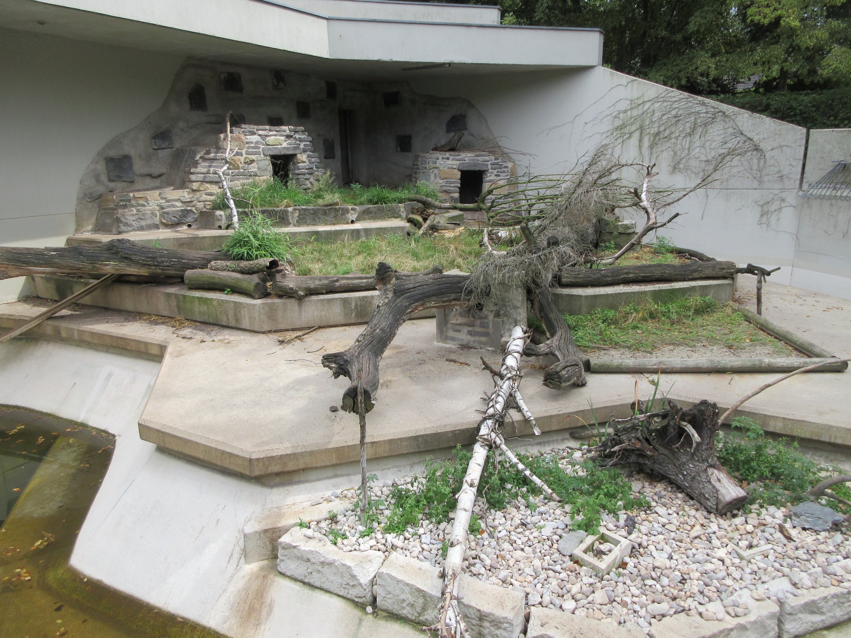 Small-clawed Otter Exhibit