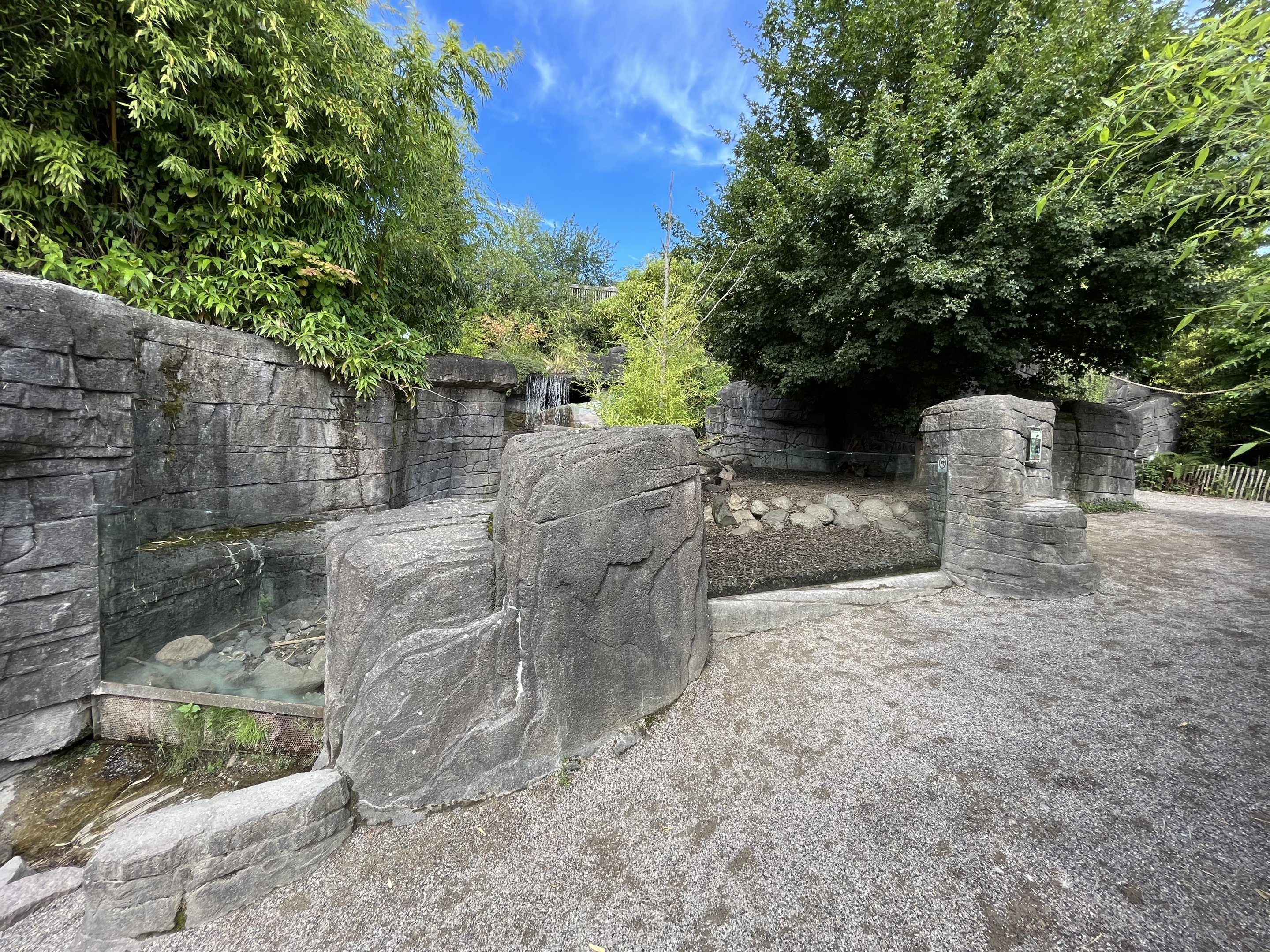 Small-clawed Otter Exhibit