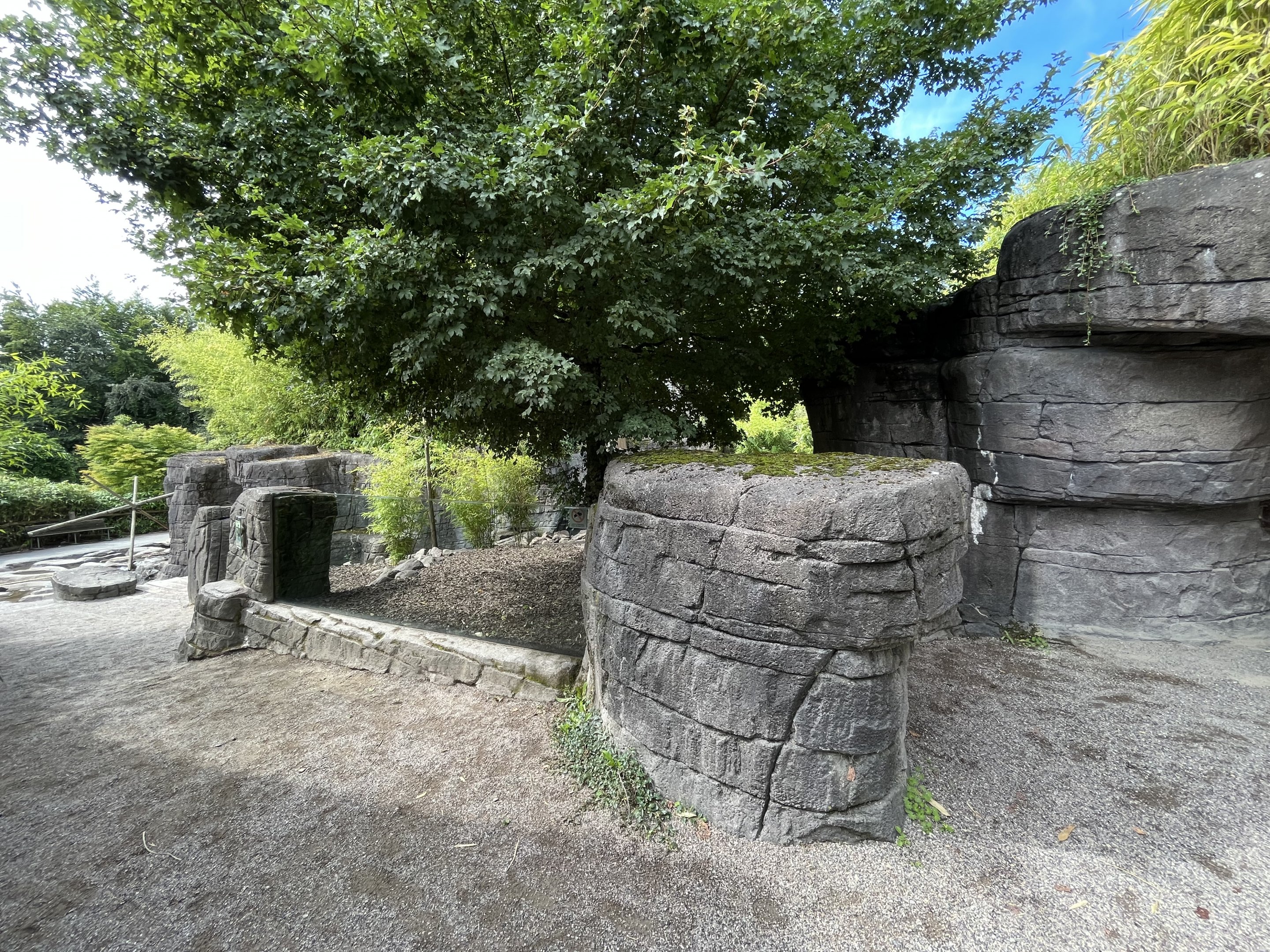 Small-clawed Otter Exhibit
