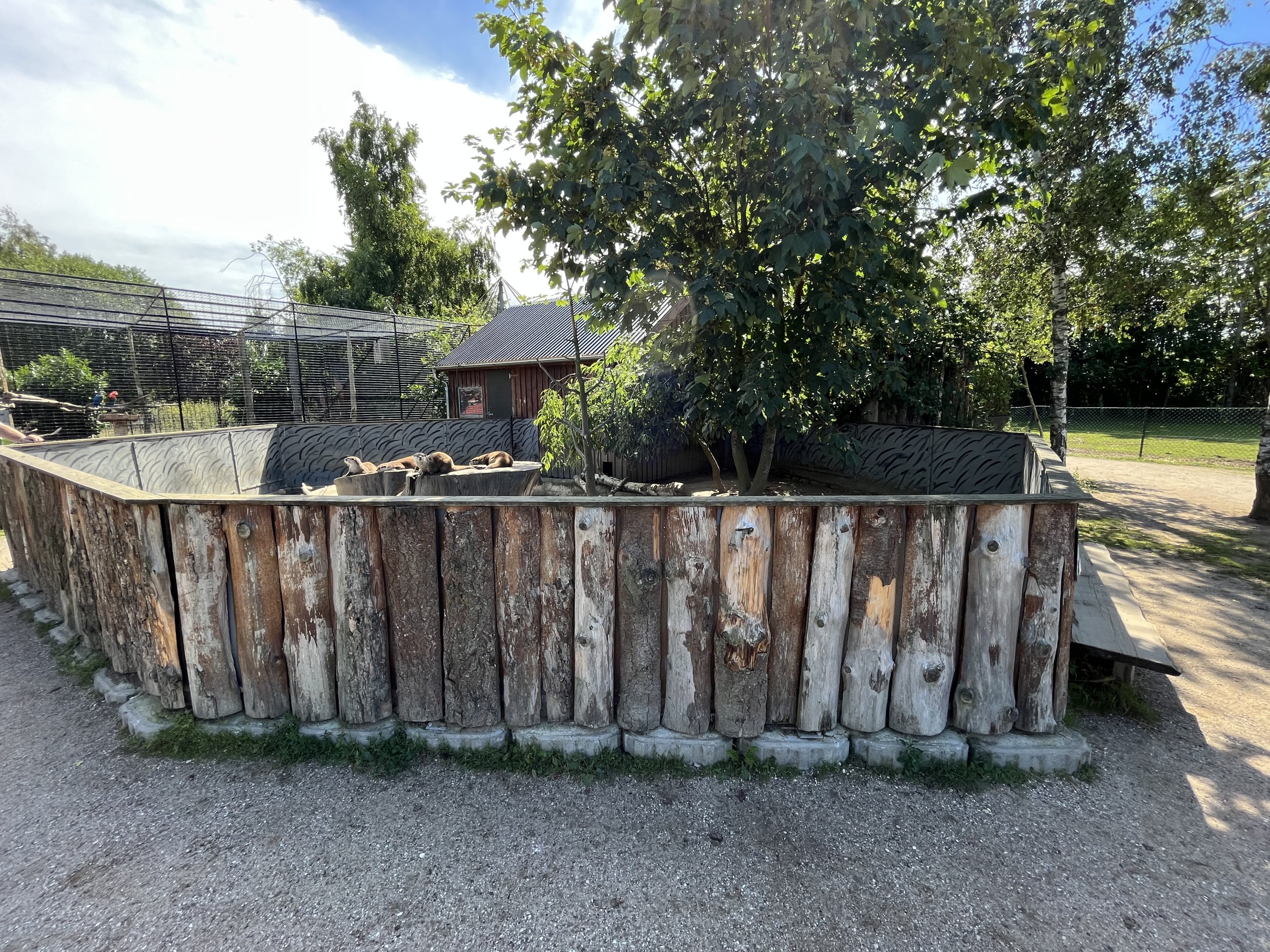 Small-clawed Otter Exhibit