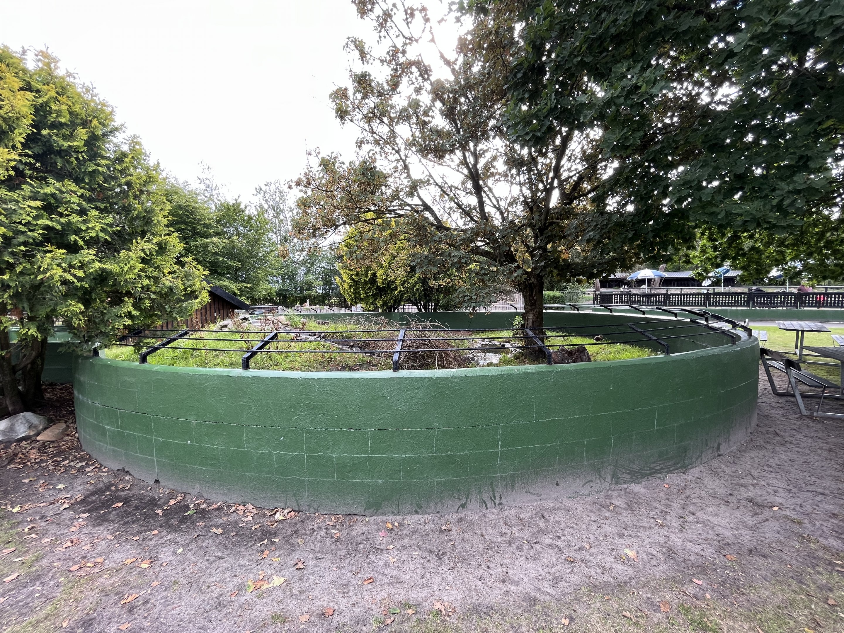 Small-clawed Otter Exhibit