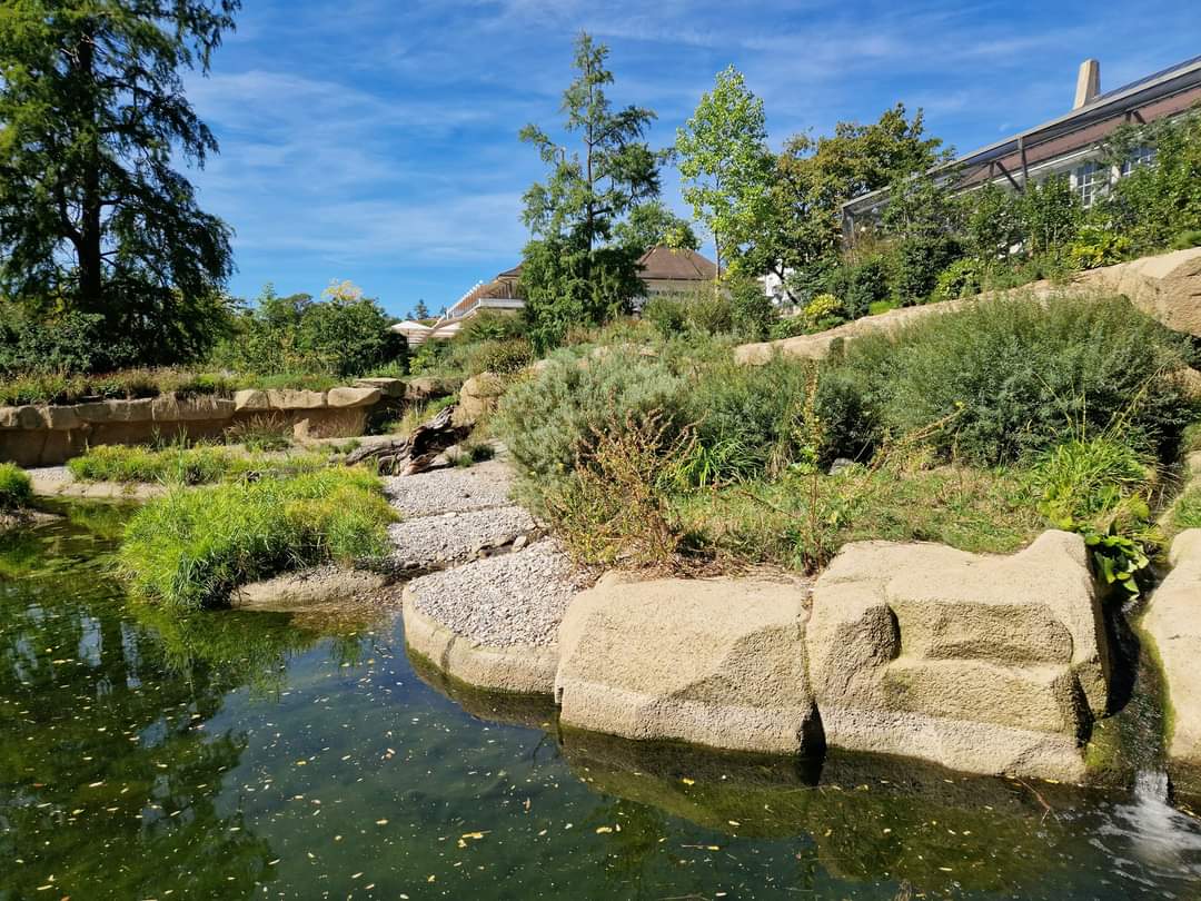 Small-clawed Otter exhibit