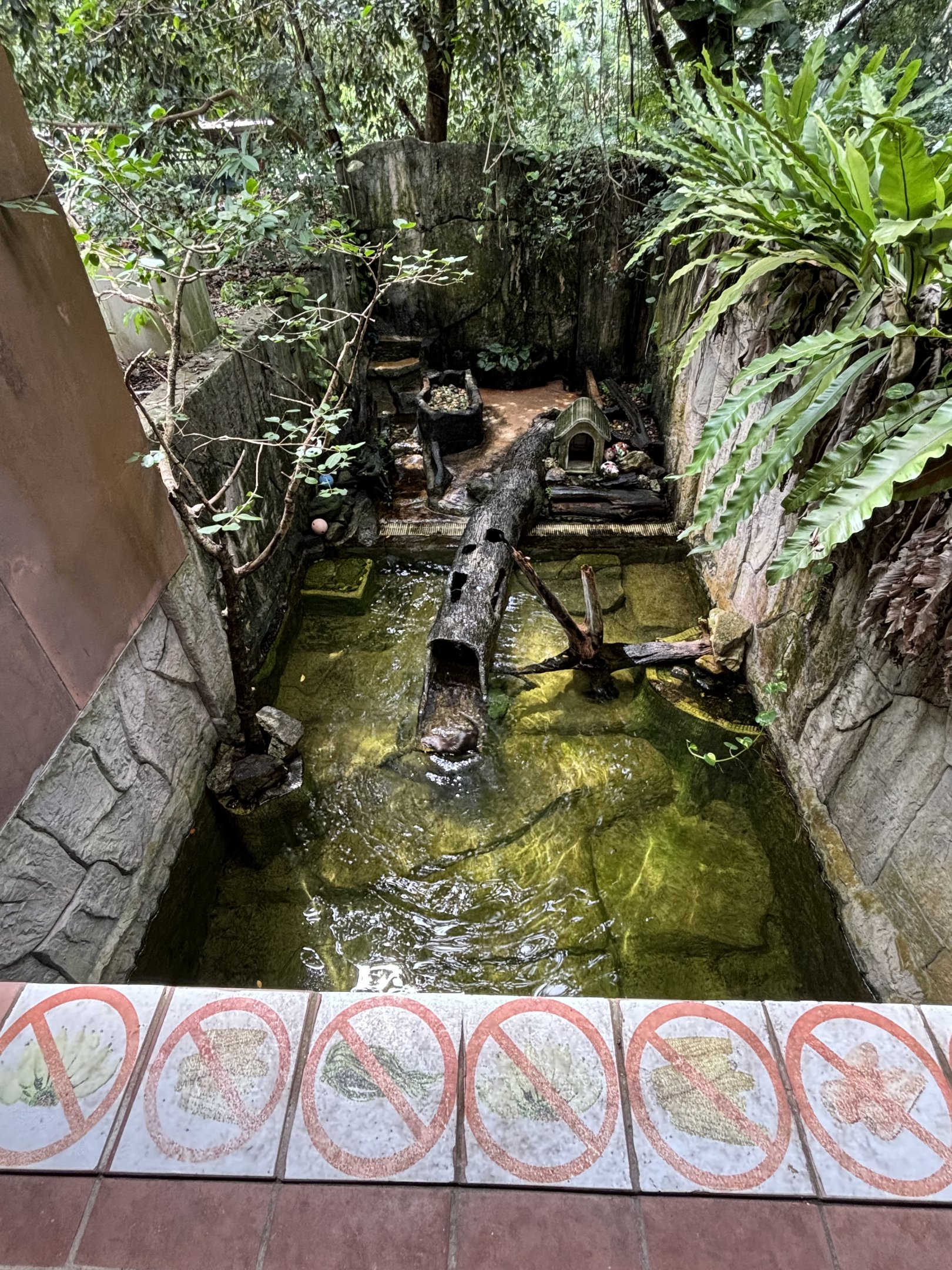Small-clawed Otter Exhibit