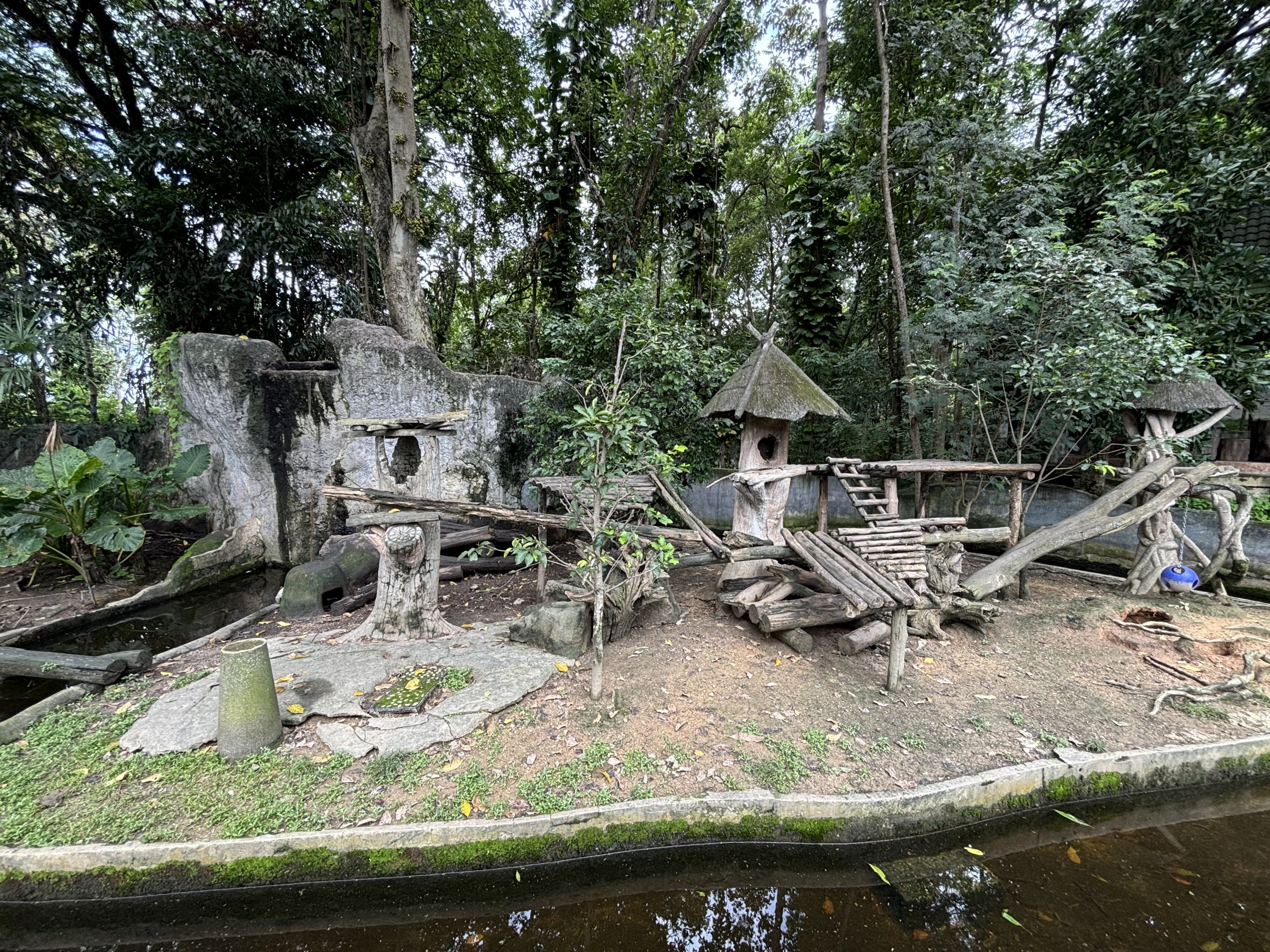 Small-clawed Otter Exhibit