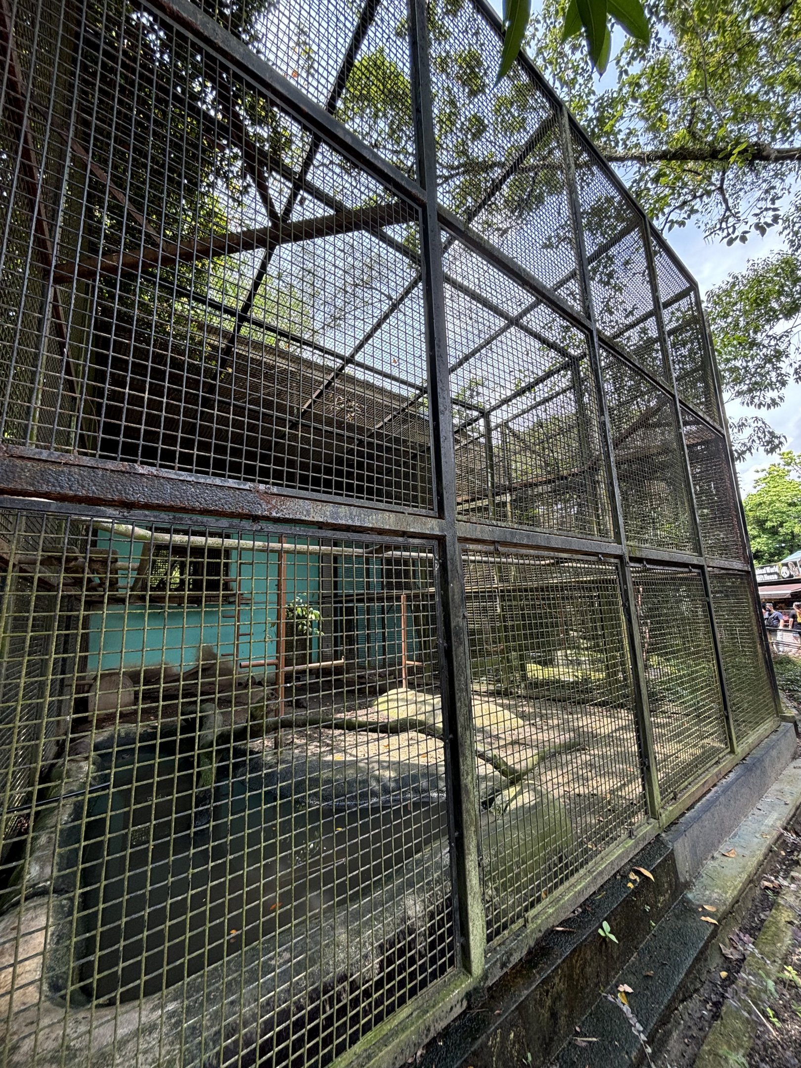 Small-clawed Otter Exhibit