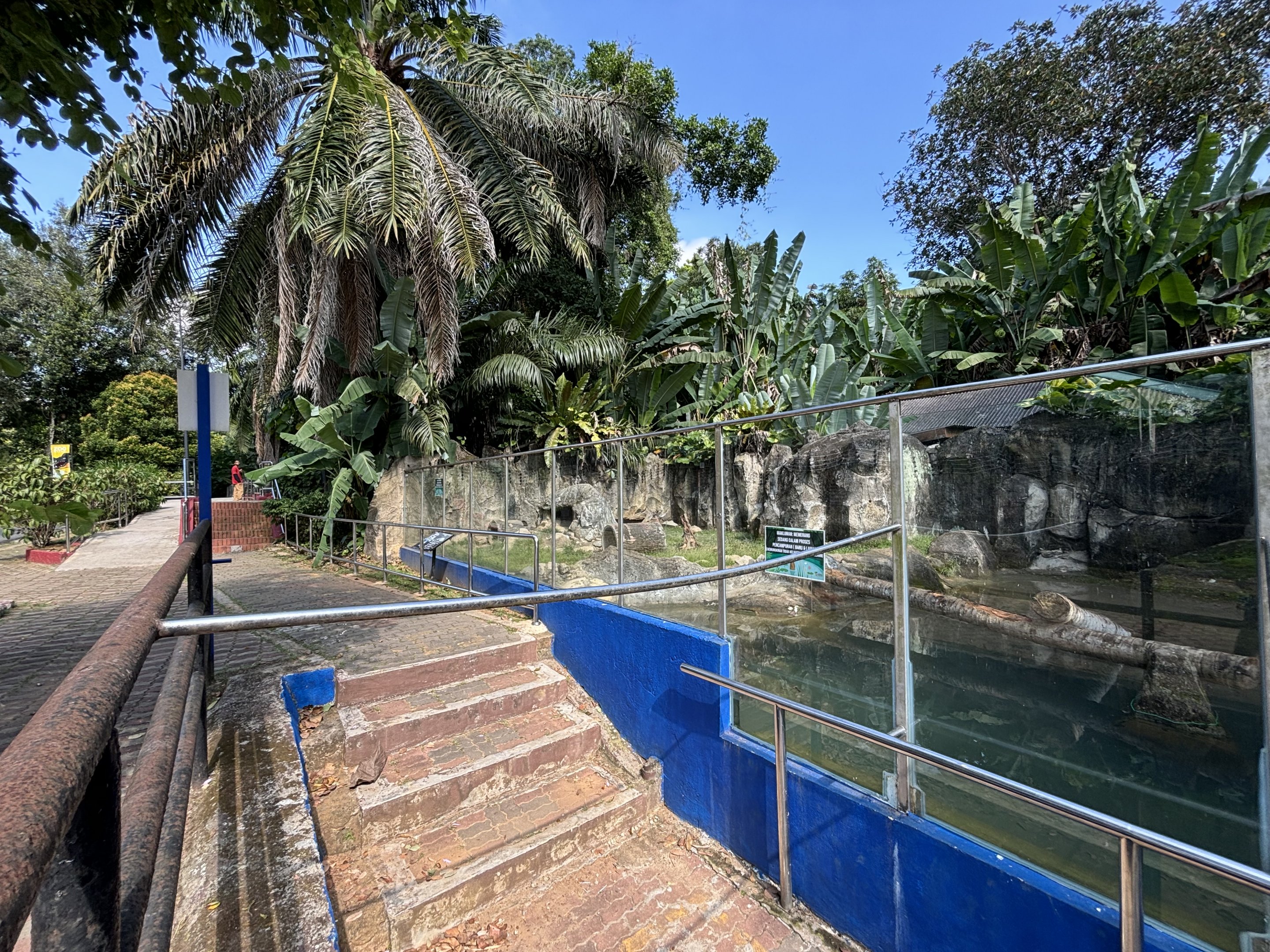 Small-clawed Otter Exhibit