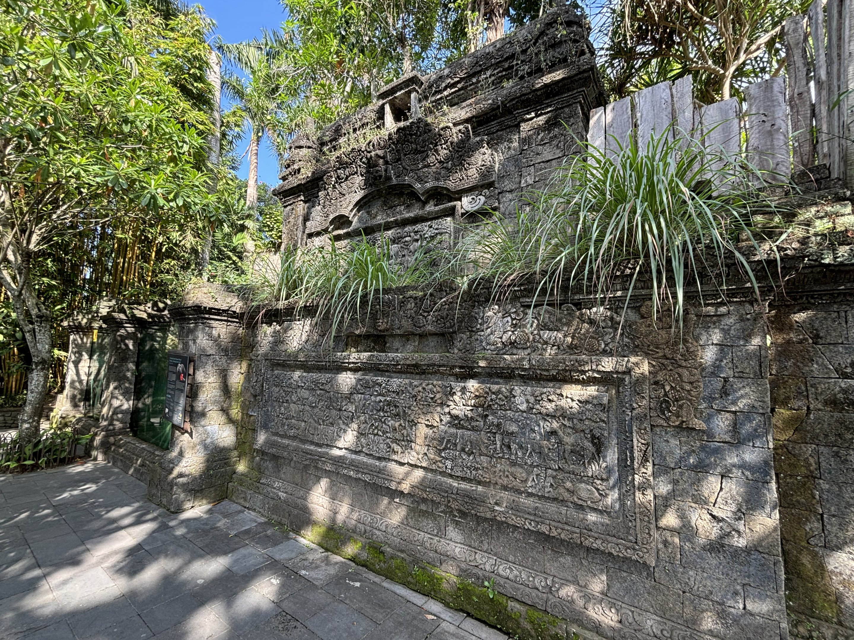 Small-clawed Otter Exhibit