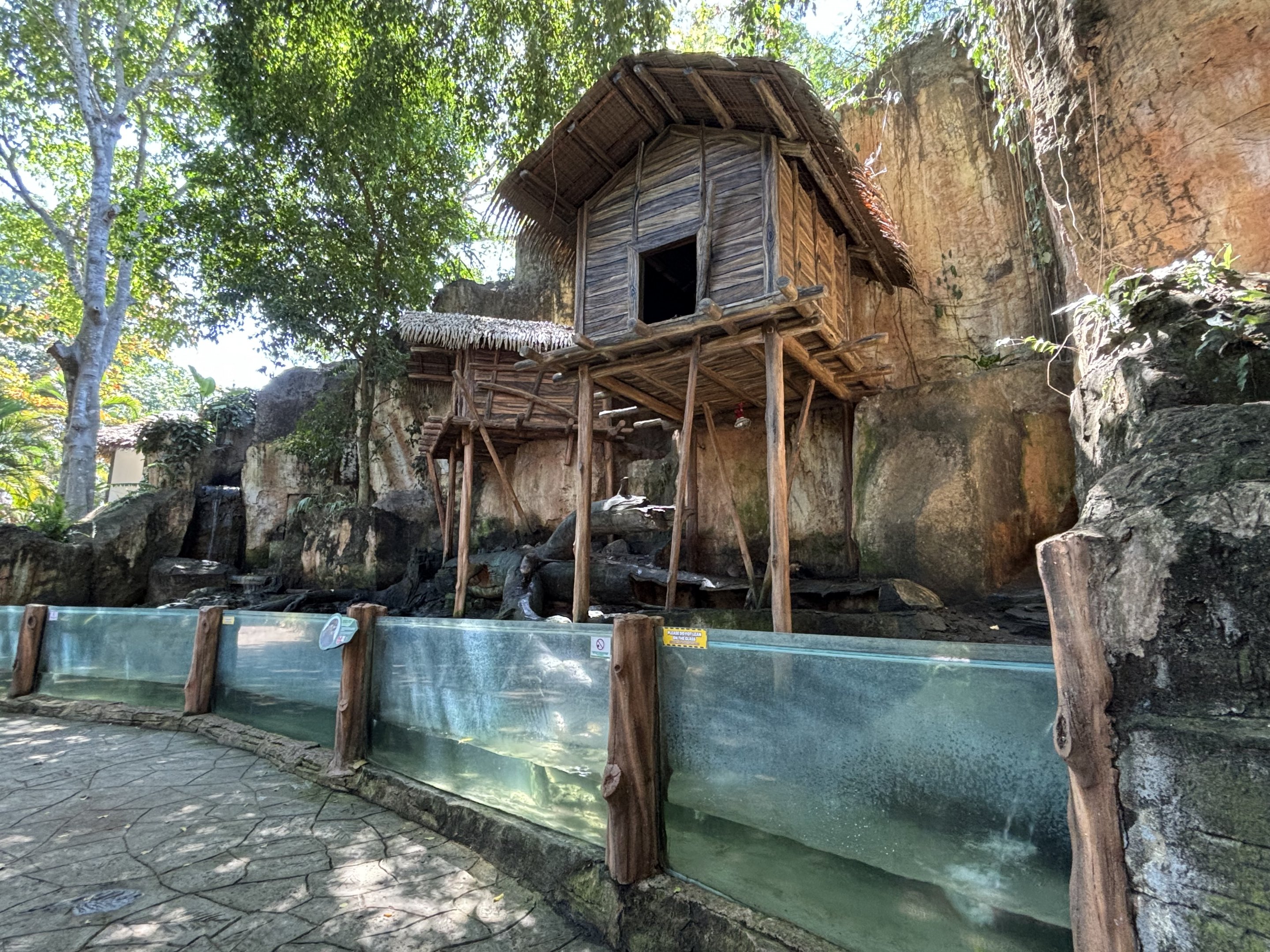 Small-clawed Otter Exhibit