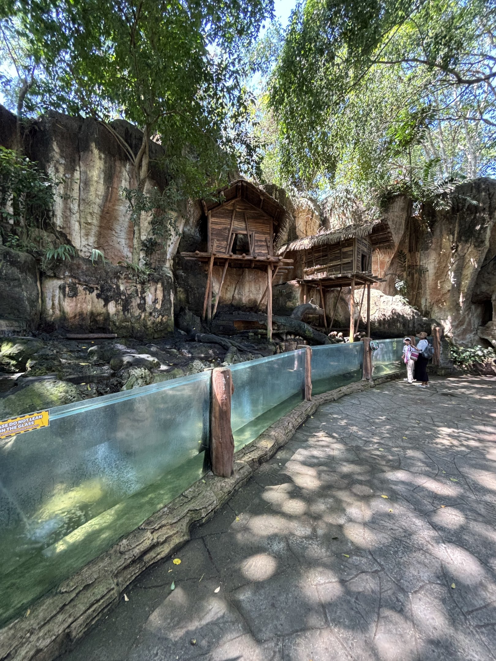 Small-clawed Otter Exhibit