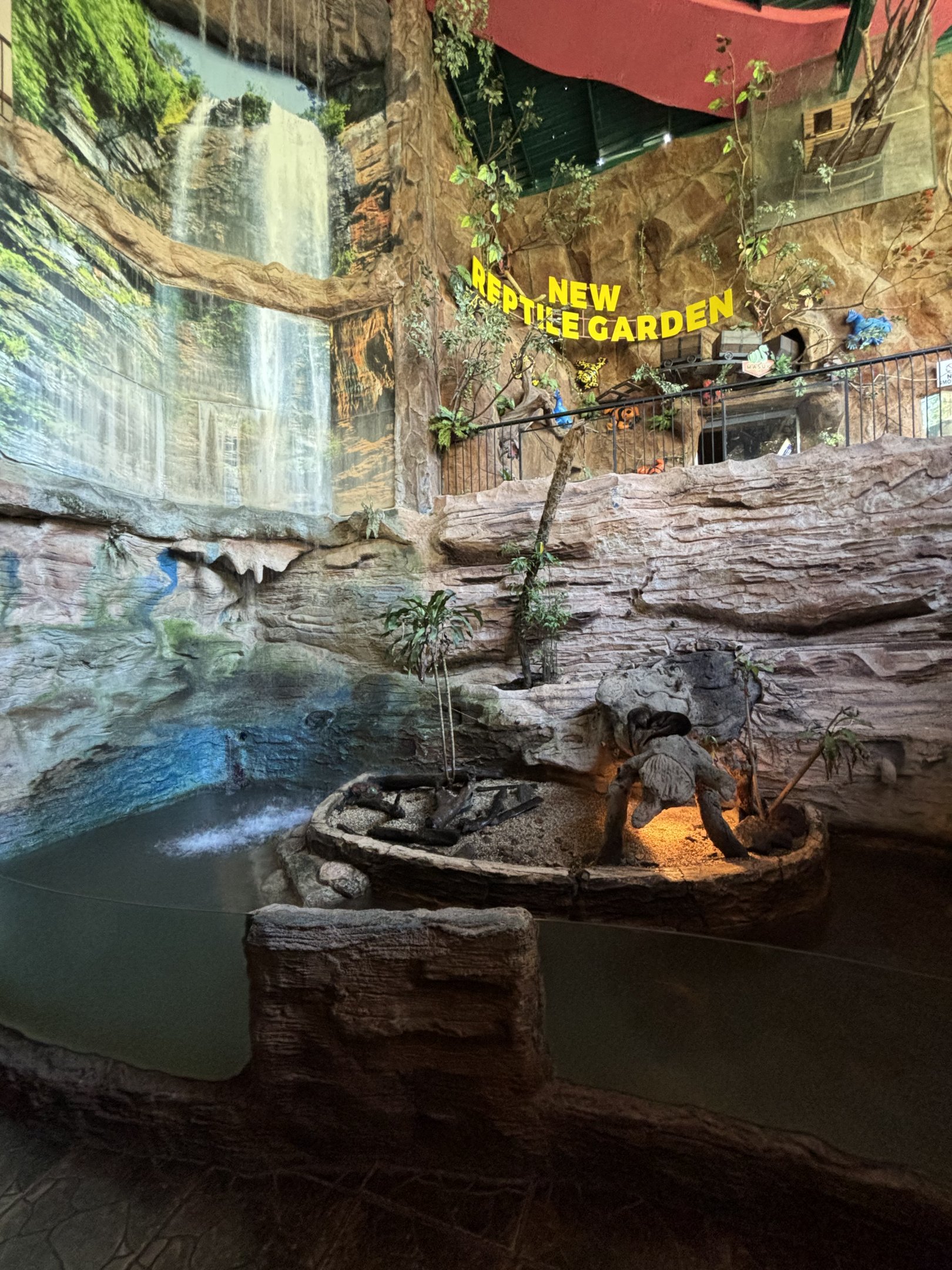 Small-clawed Otter Exhibit