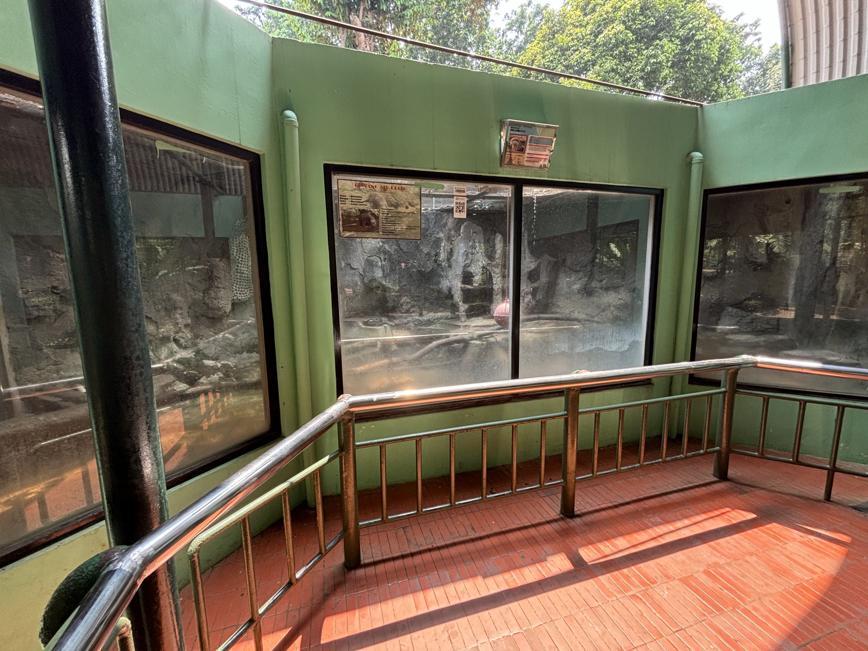 Small-clawed Otter Exhibit