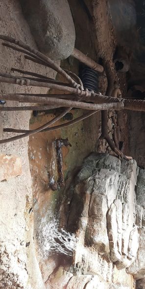 Small Clawed Otter Pool