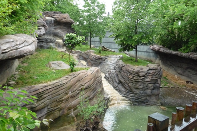 Small-clawed Otter Yard