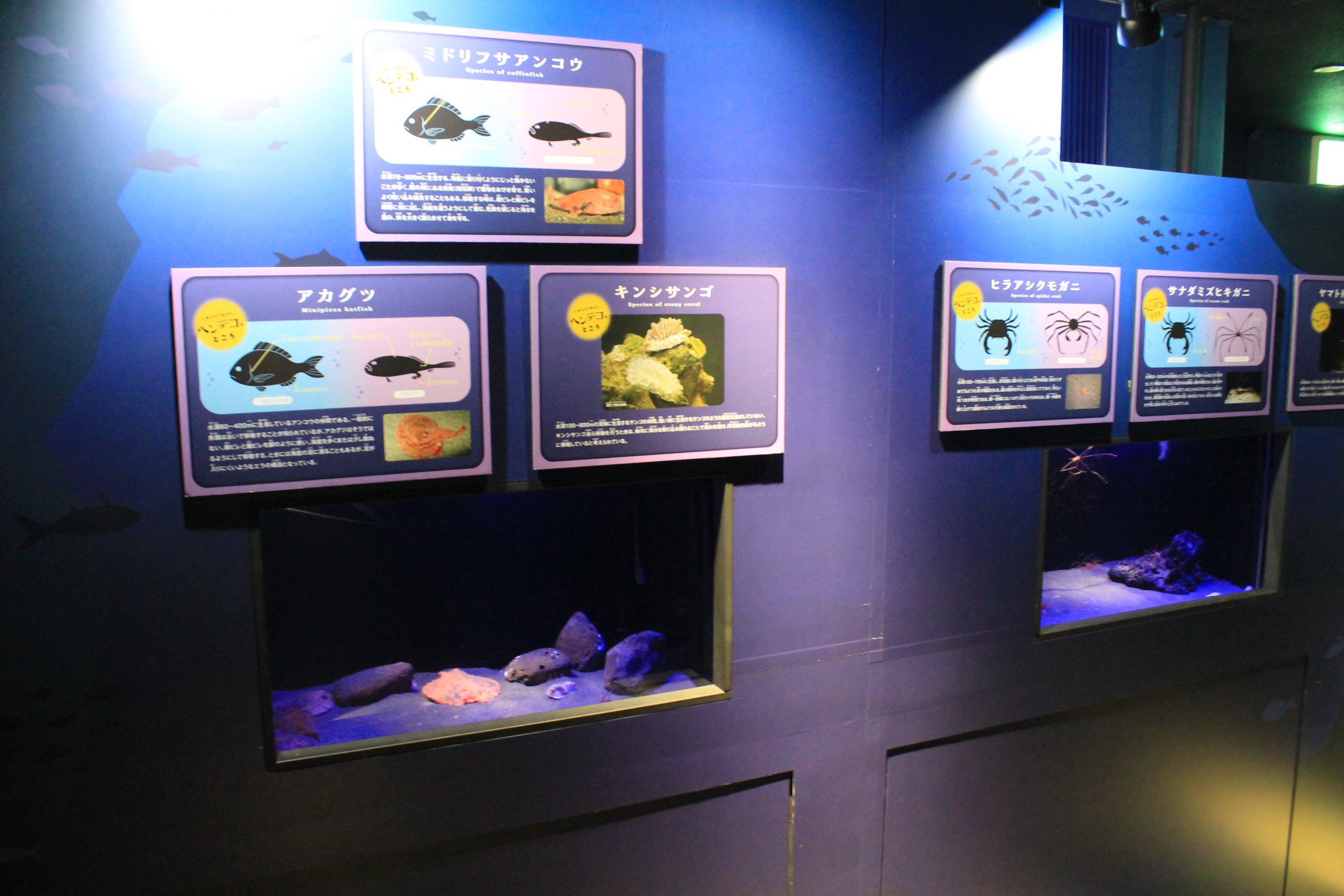 Small deepwater tanks