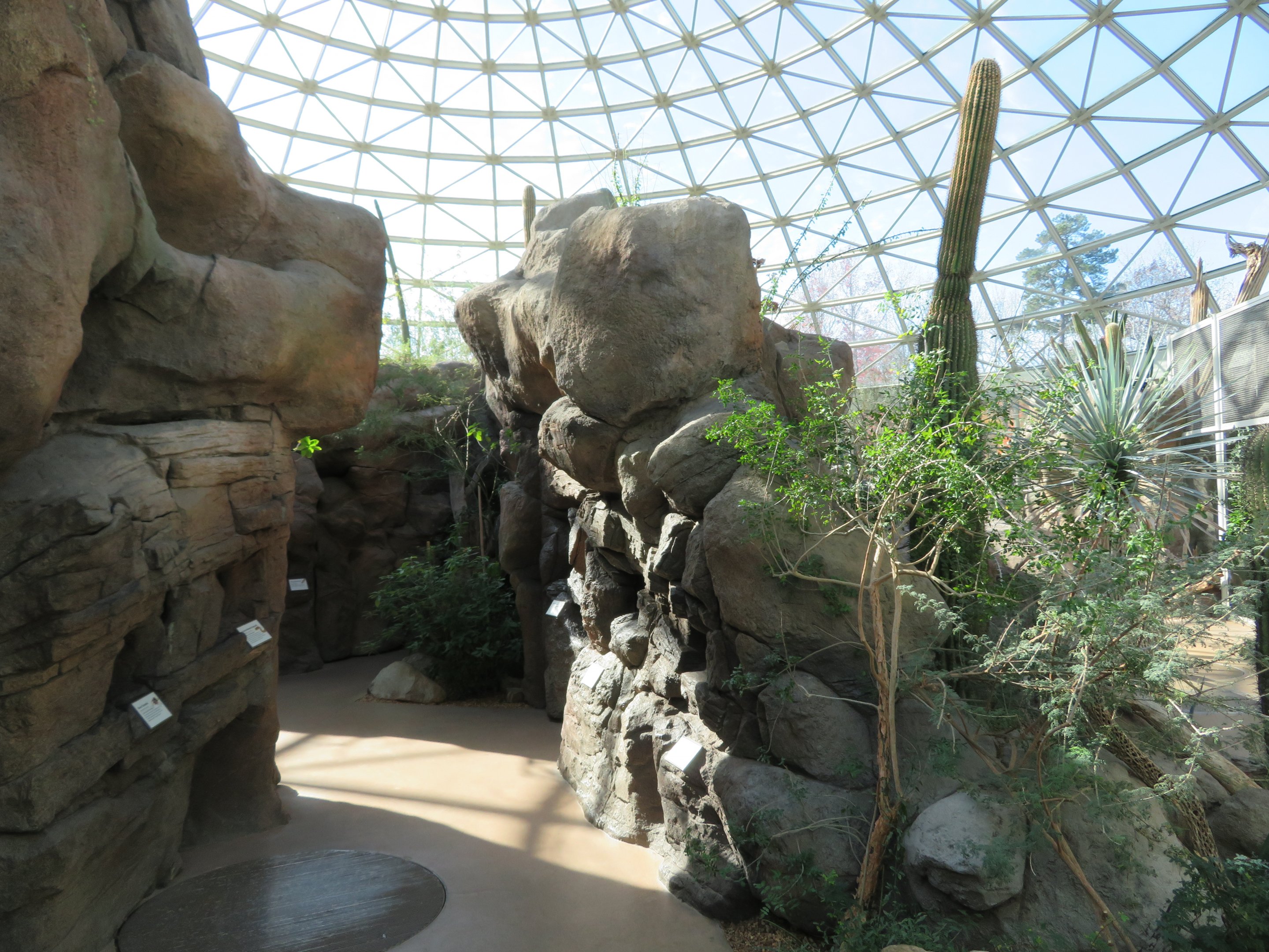 Small Desert Exhibits