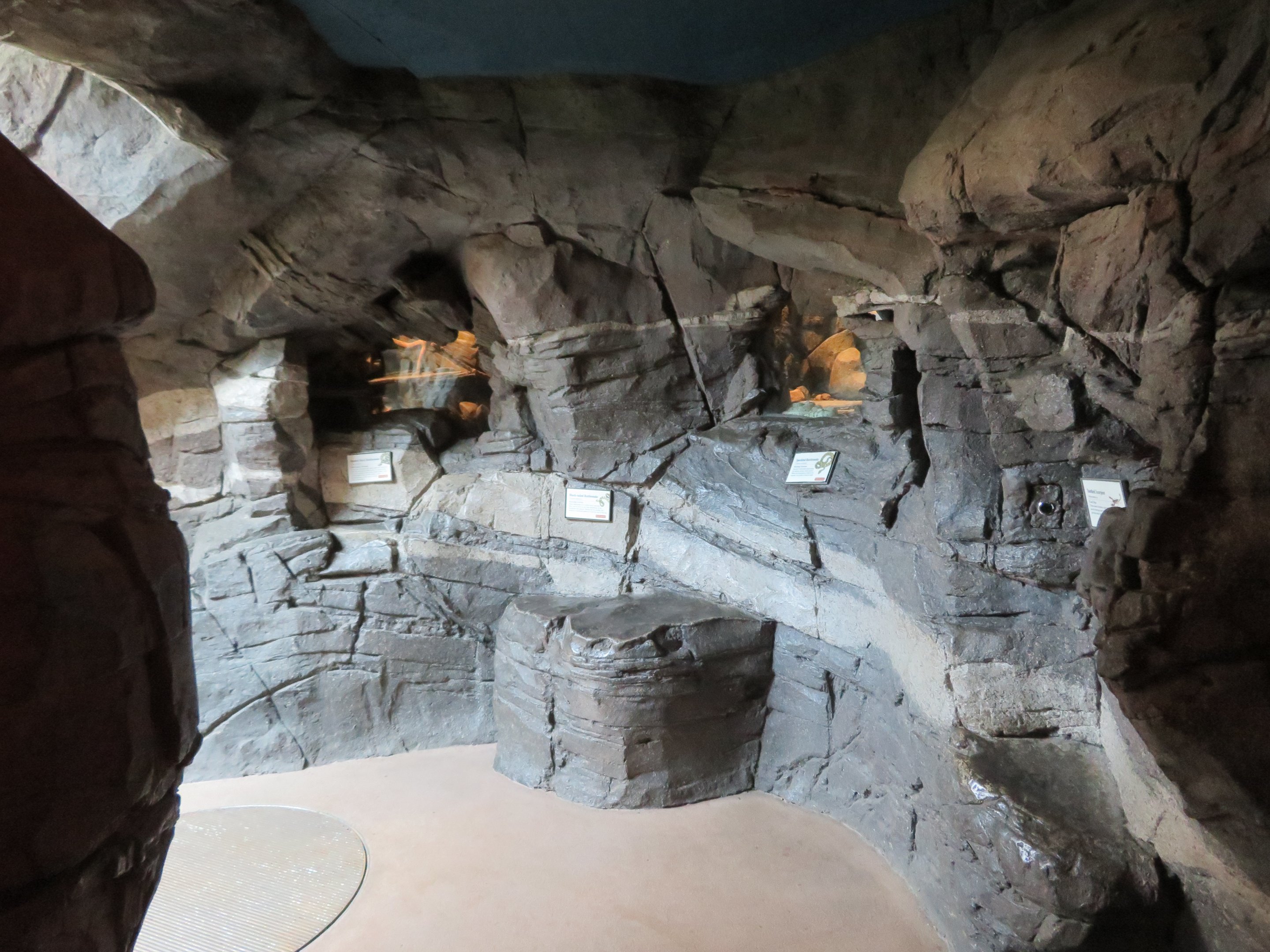 Small Desert Exhibits