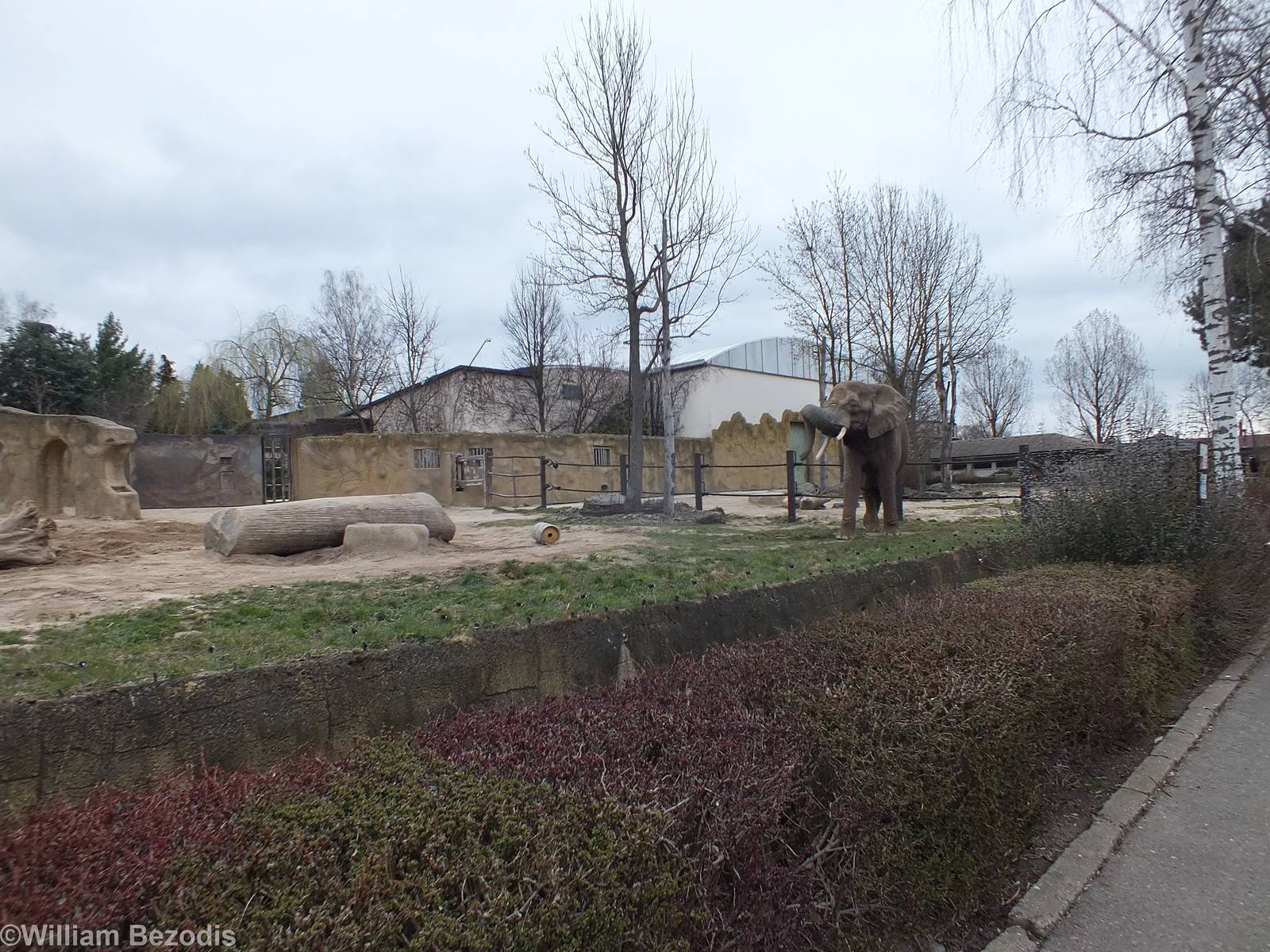 Small Elephant Paddock