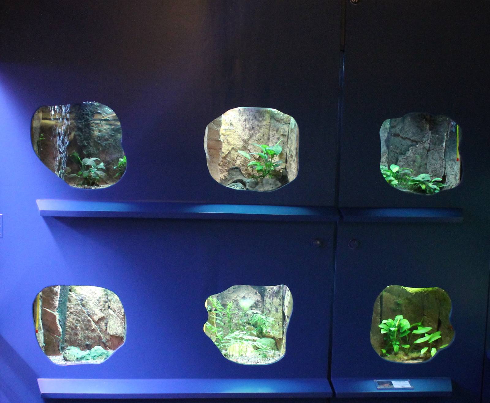 Small enclosures for small animals