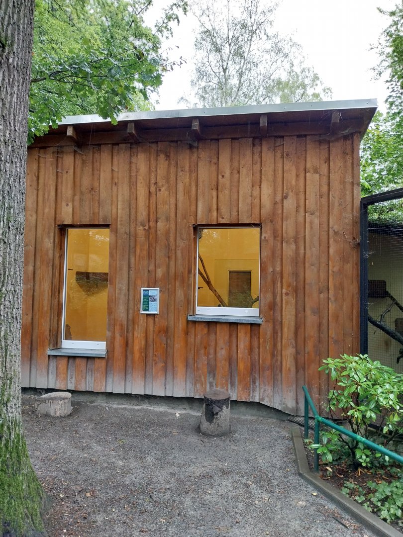 Small Felids Courtyard - Gordon's Wild Cat Building