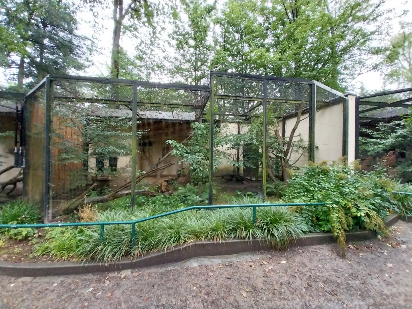 Small Felids Courtyard - One of the Amur Leopard Cat enclosures