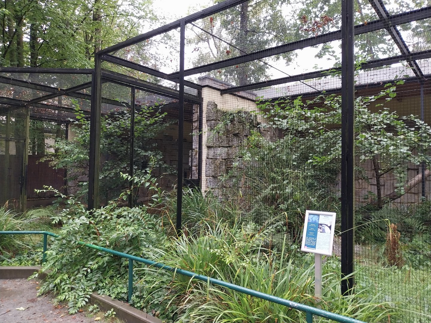 Small Felids Courtyard - Siberian Pallas' Cat enclosures